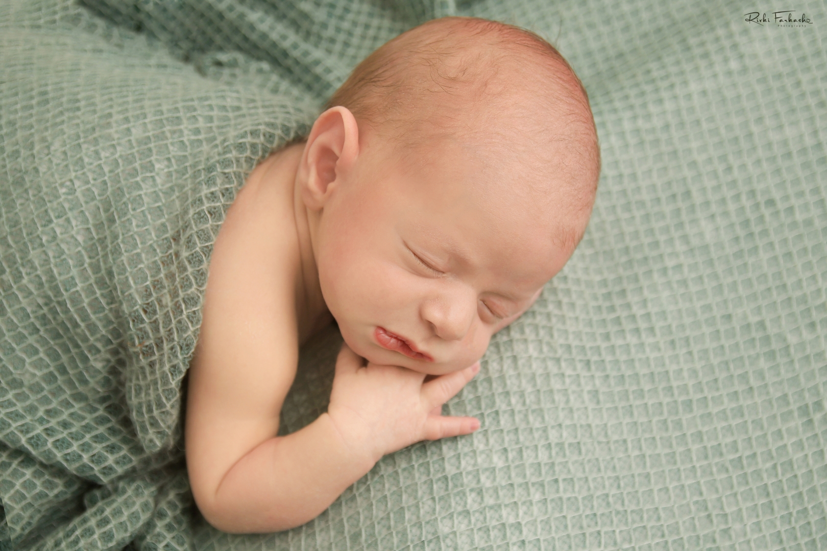 דודי (20) (Large).jpg