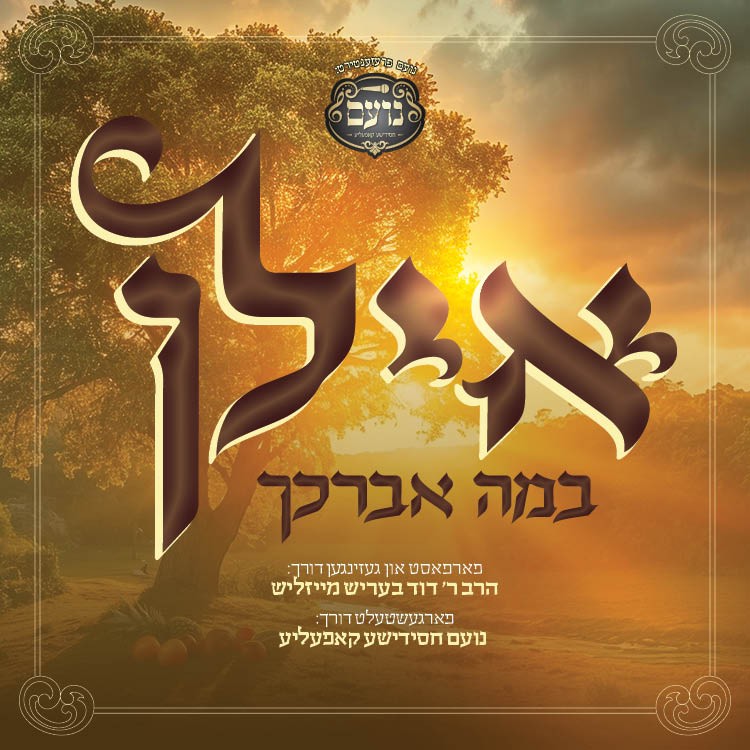 דוד בעריש מייזליש - אילן.jpg