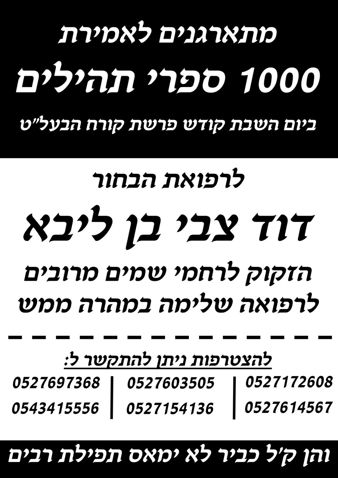 דוד צבי תהילים.jpeg