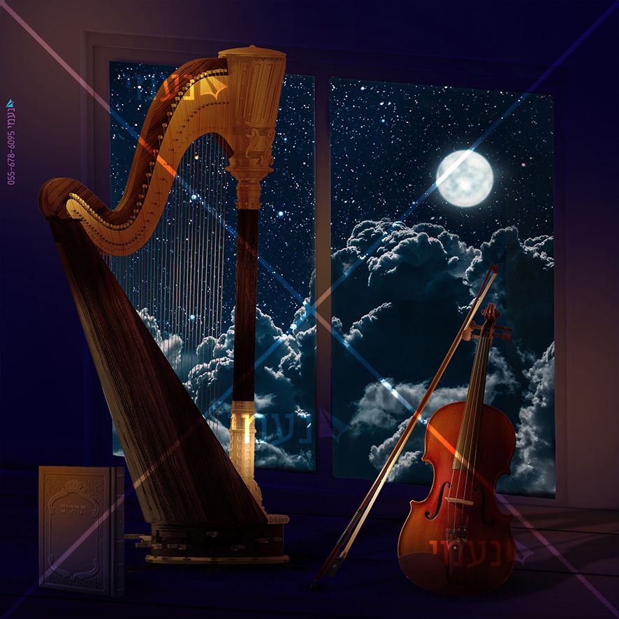 דוד קרדיט.jpg