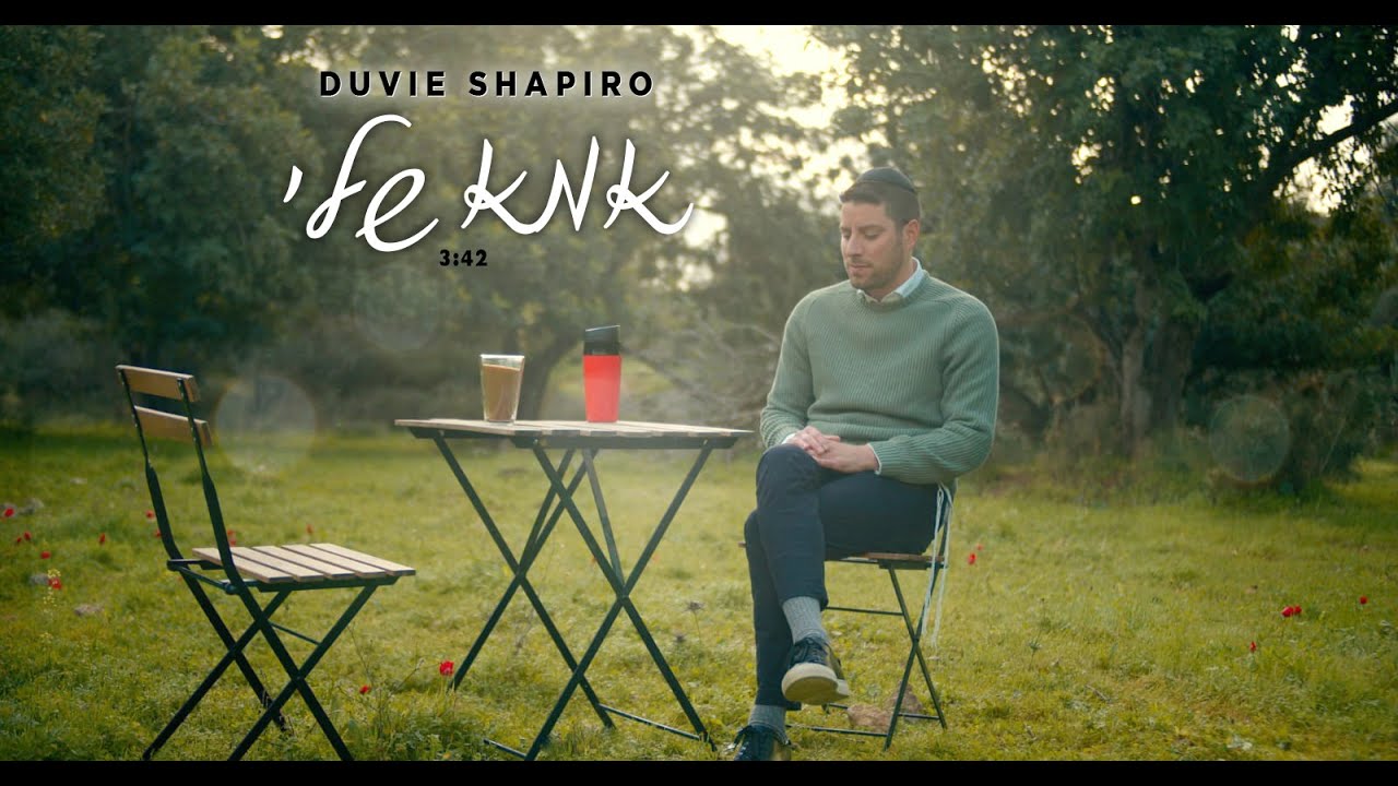 דוד שפירא - אמא שלי.jpg