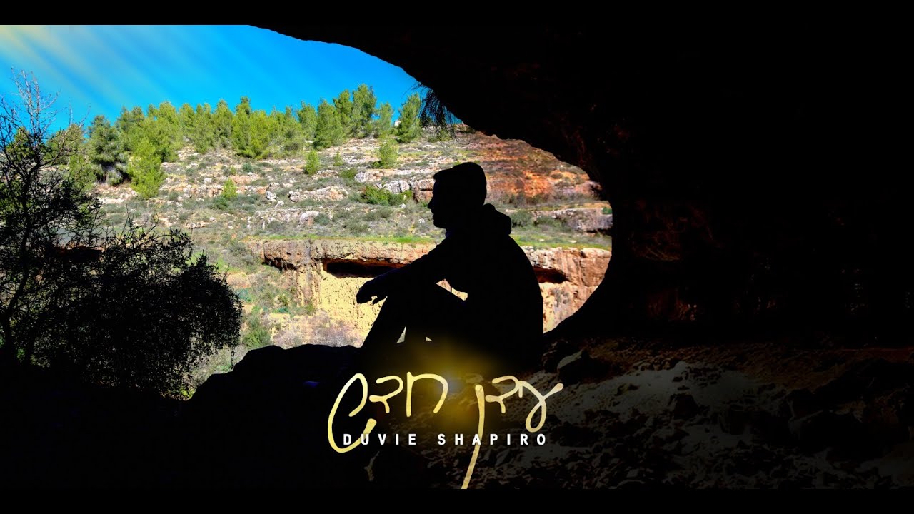 דוד שפירא - עידן חדש.jpg