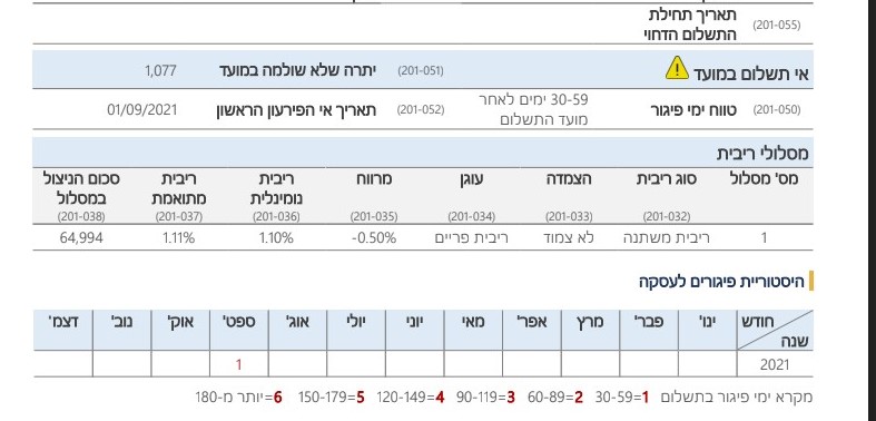 דוח ריכוז נתונים.jpg
