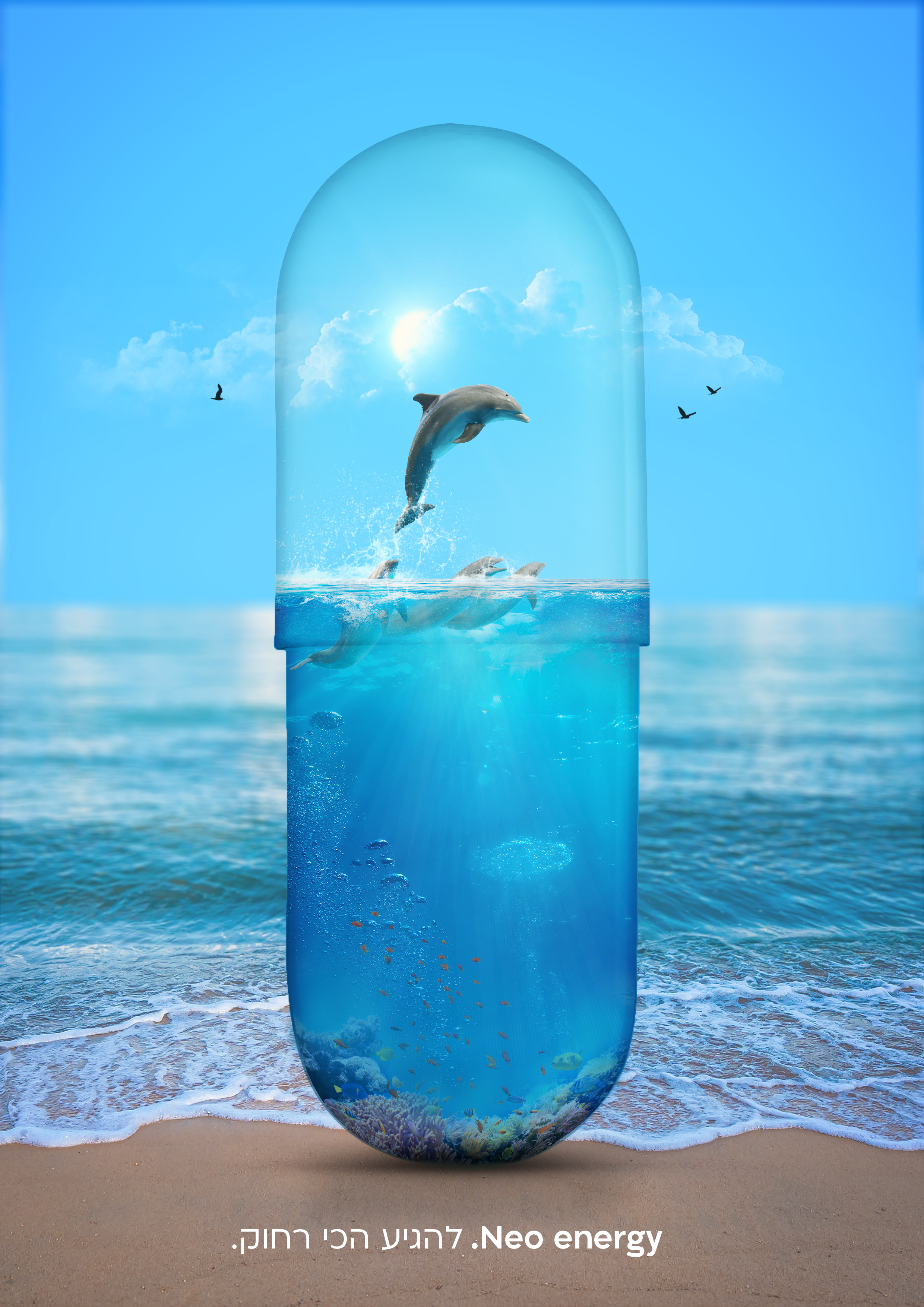 דולפין סופי.jpg