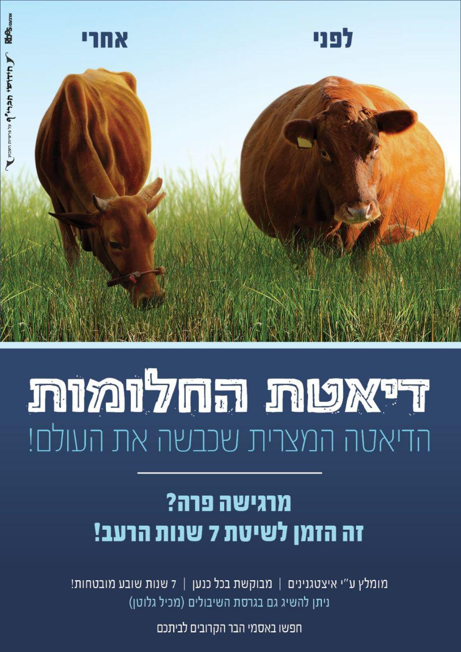 דיאטת החלומות.jpg