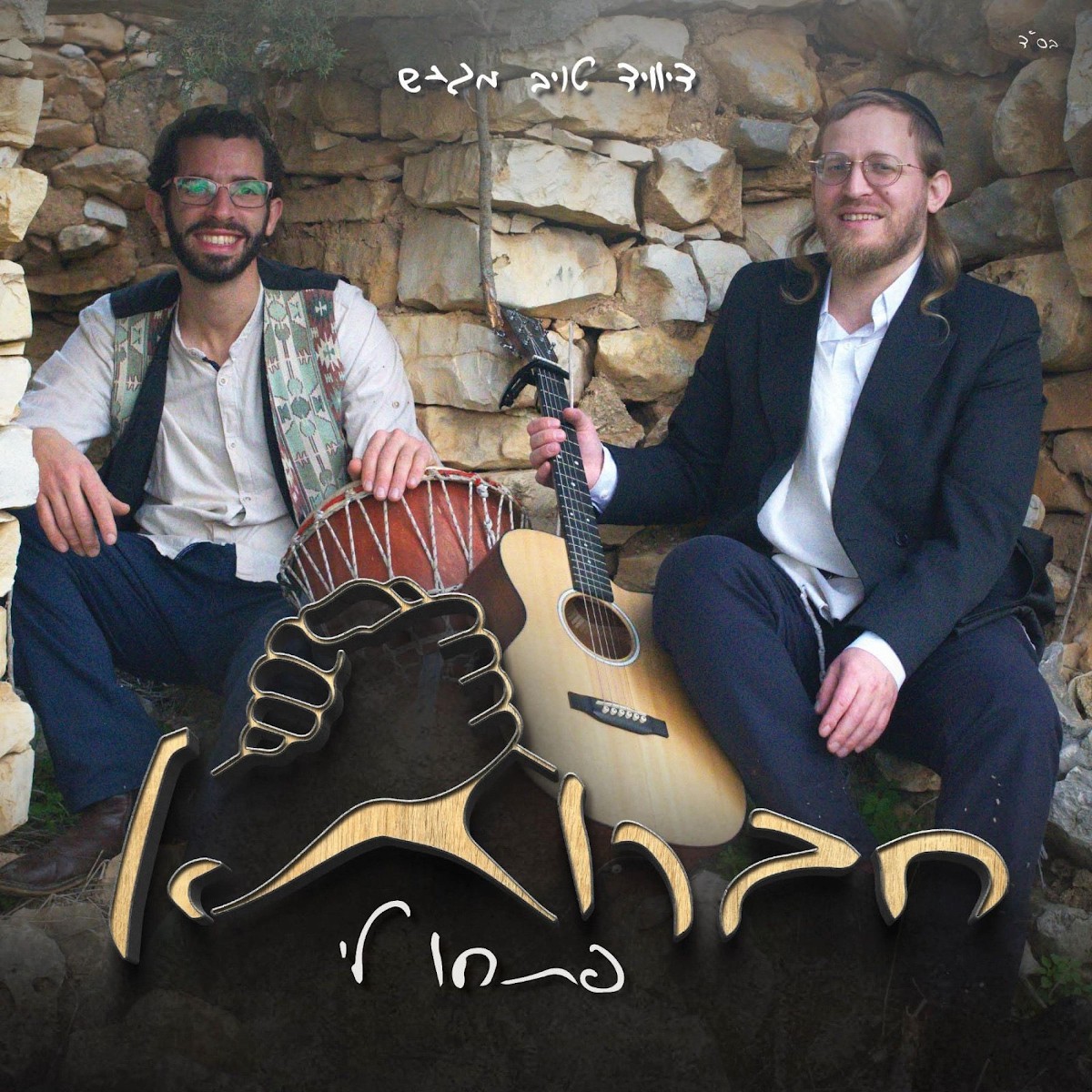 דייויד טויב & משה שניידר - פתחו לי - חברותא.jpg