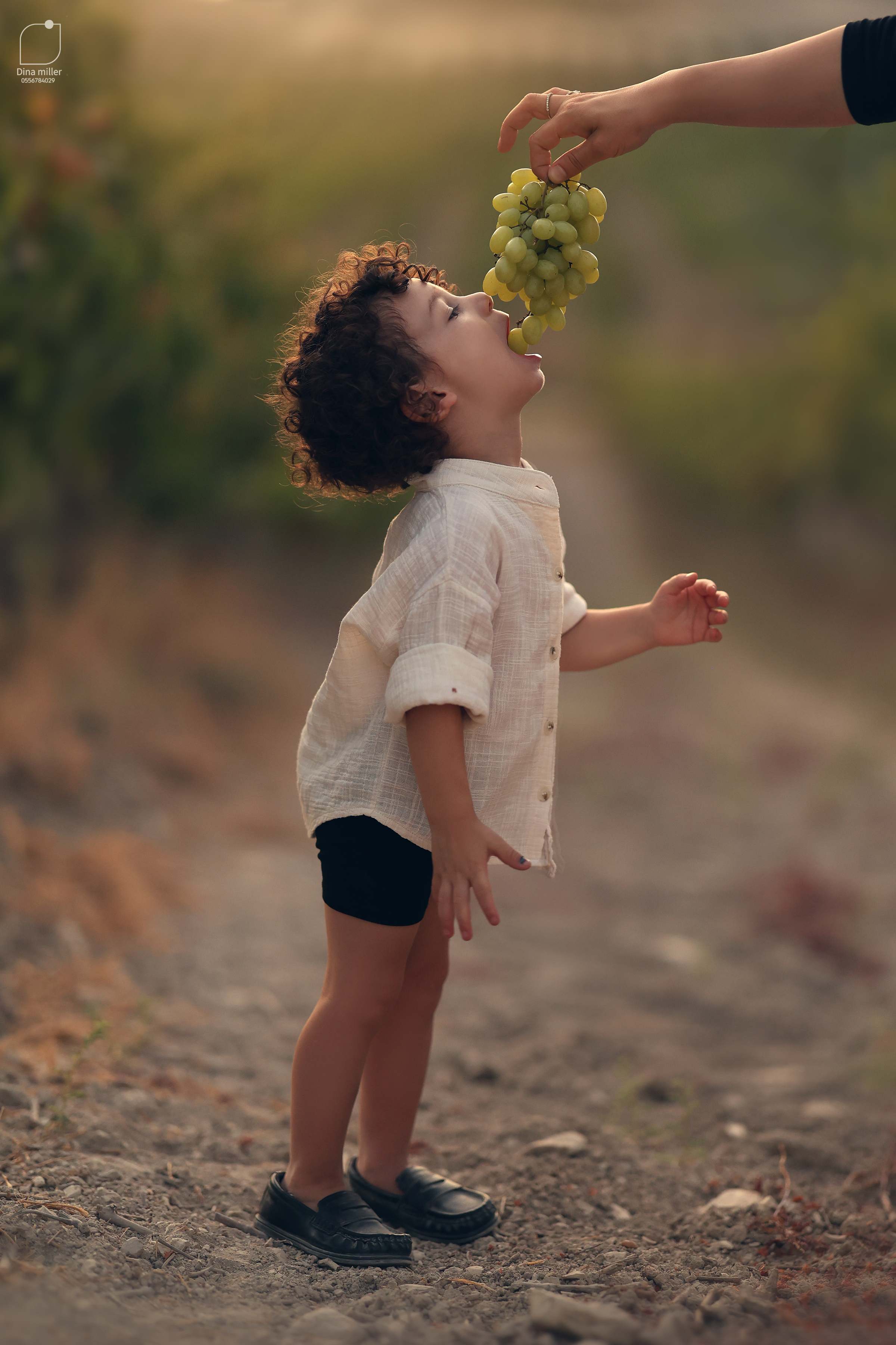 דינה מילר 0556784029 (1).jpg