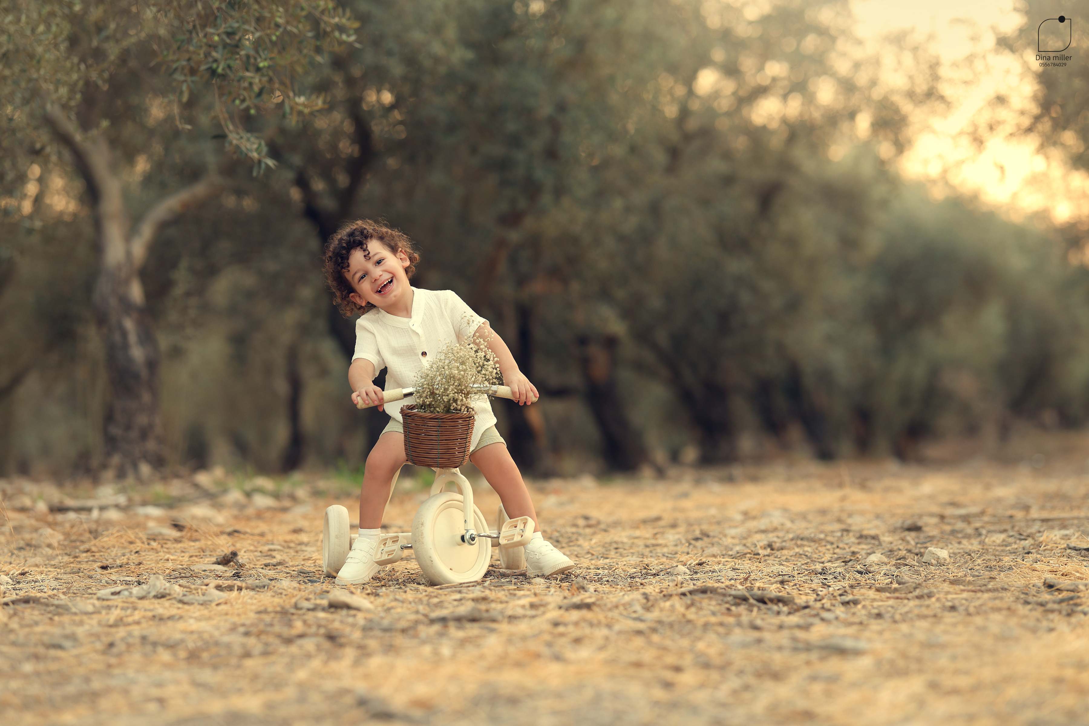 דינה מילר 0556784029 (7).jpg