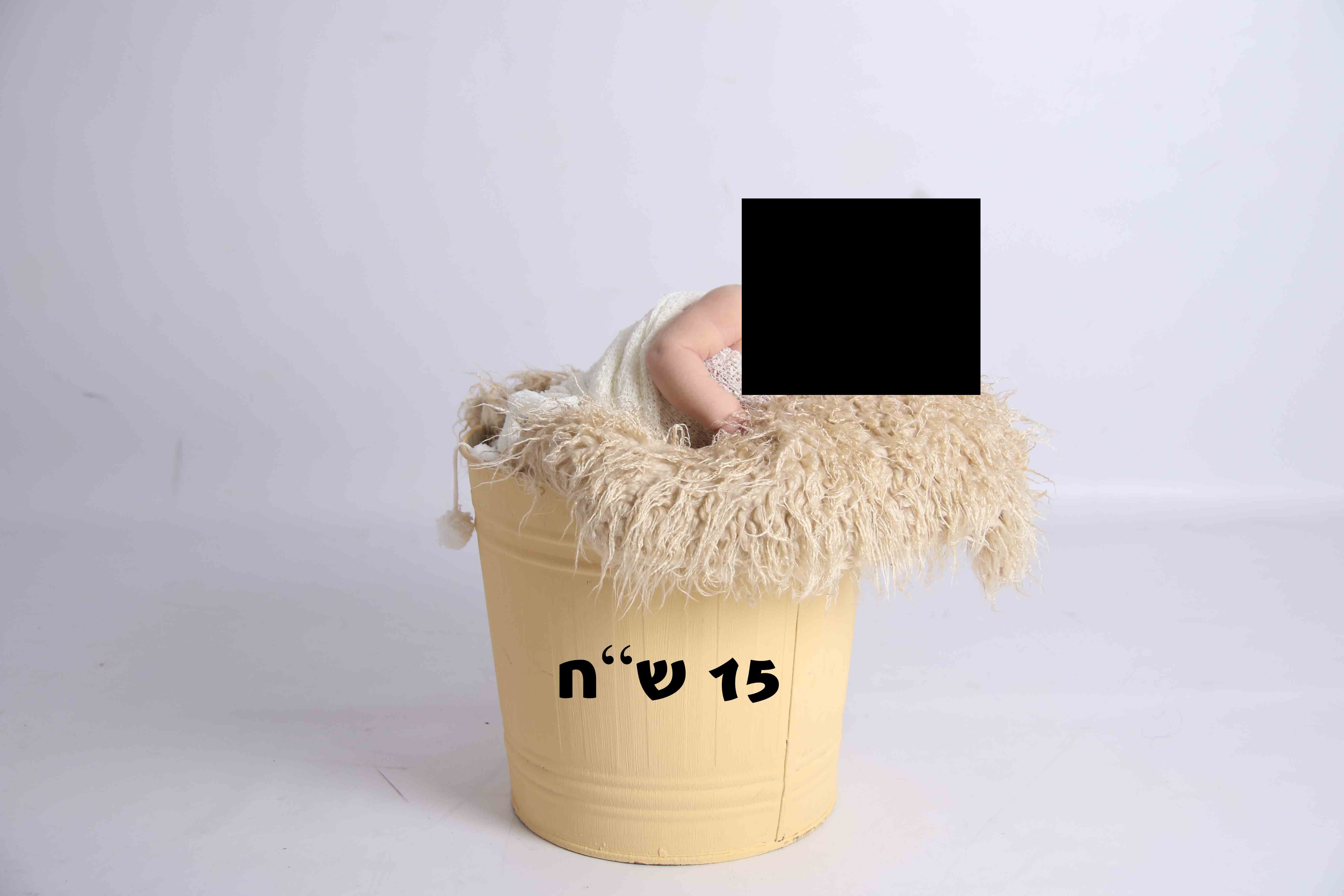 דלי.jpg