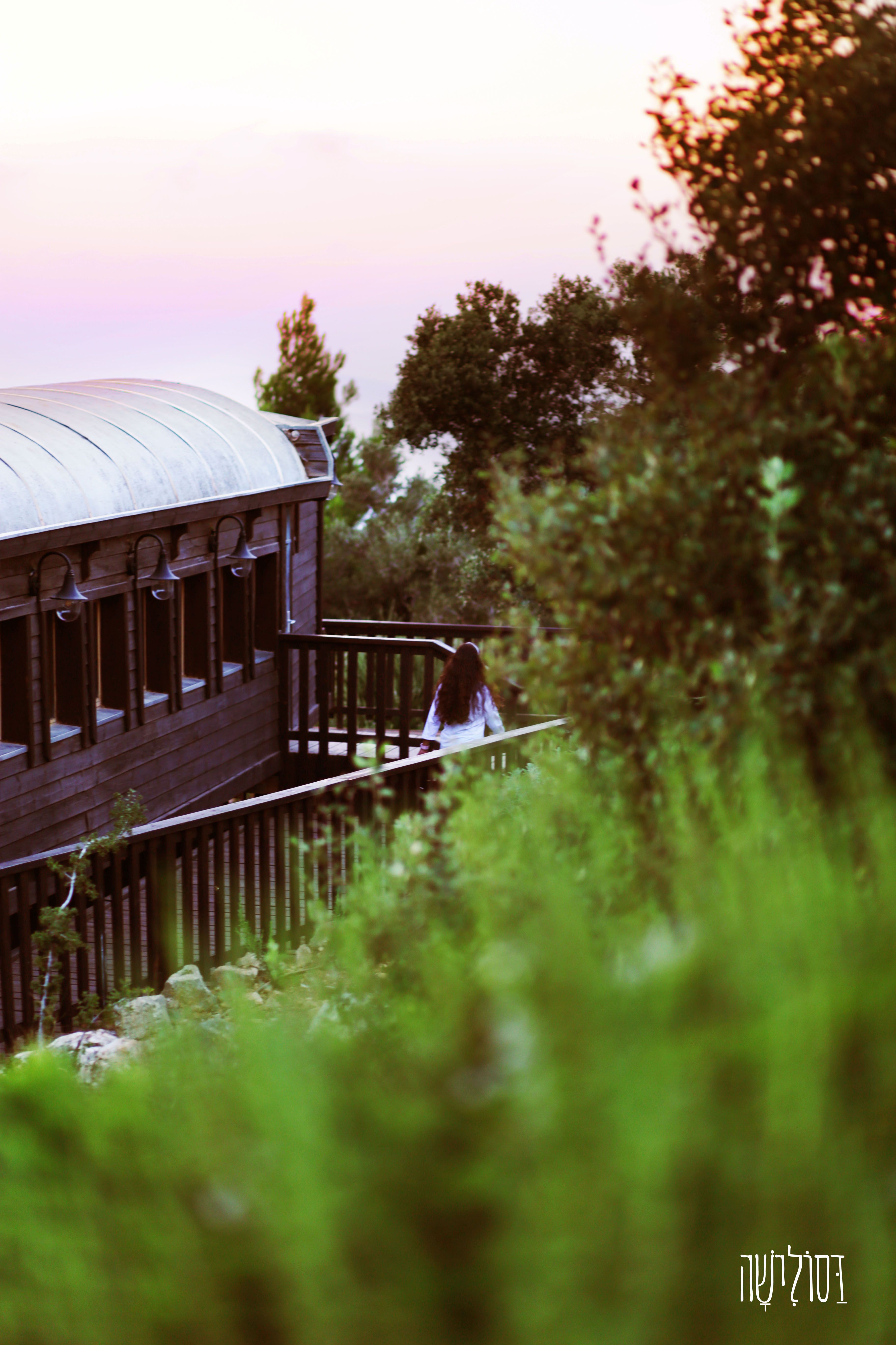 דסולישה צלמת-0556750110.jpg