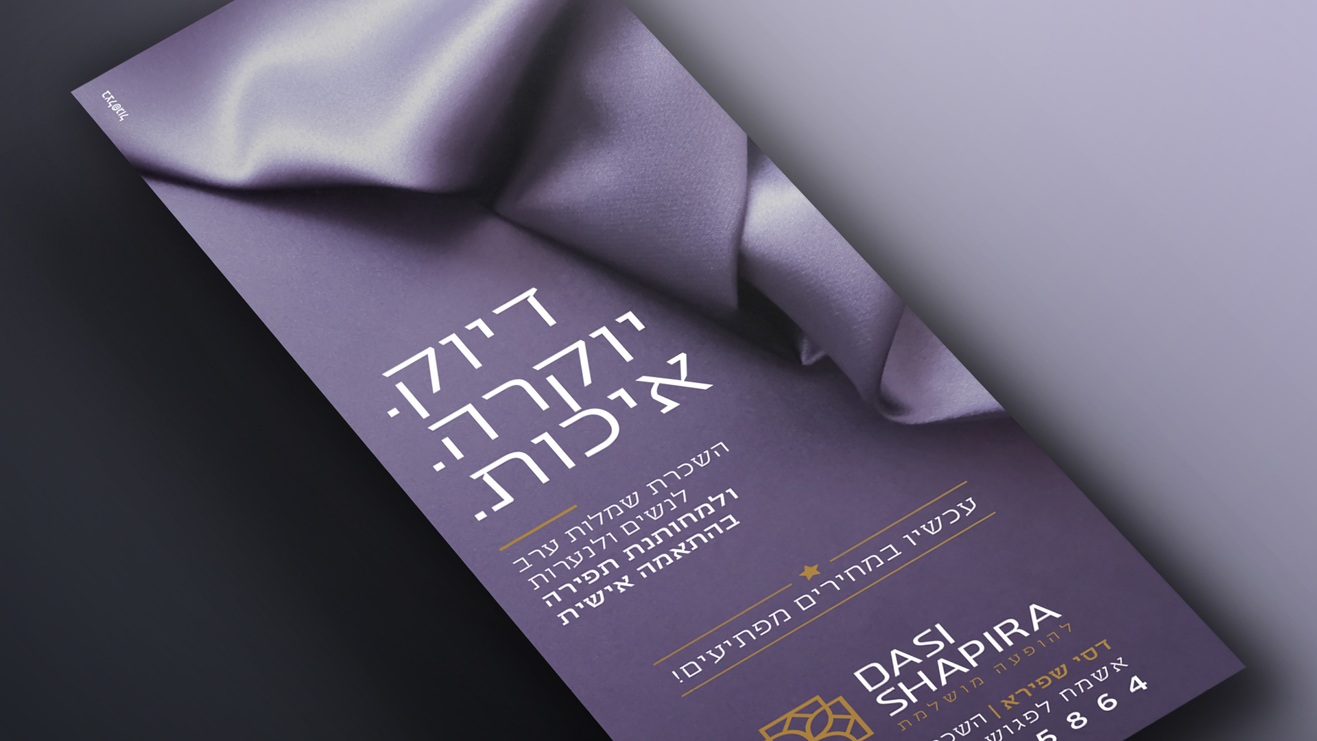 דסי שפירא21.jpg