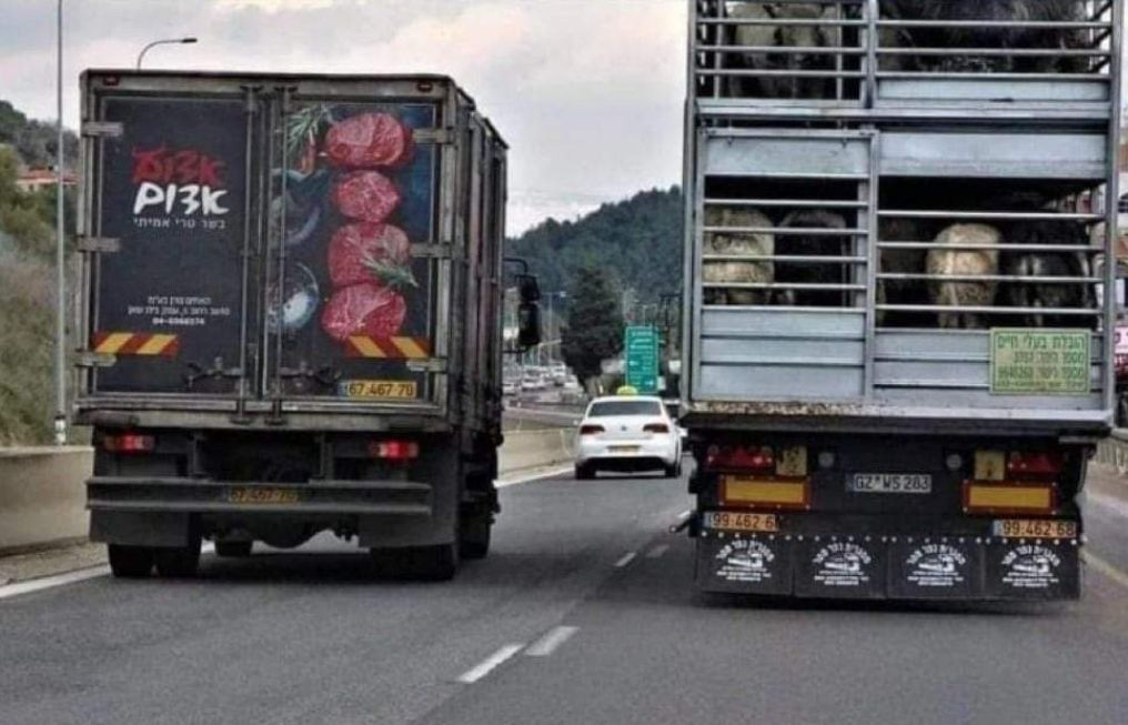 דע מאין באת ולאן אתה הולך.jpg