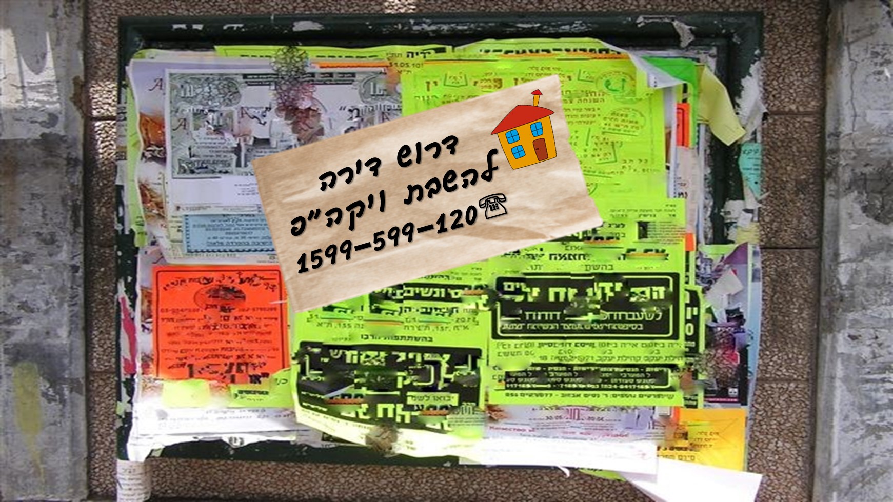 דרוש דירה.jpg