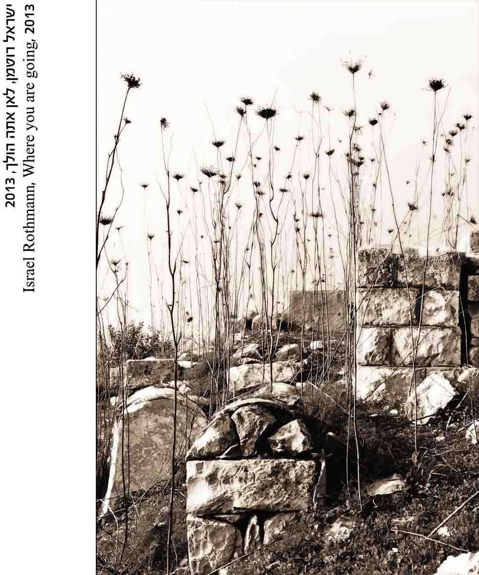 ד1-ישראל רוטמן-לאן אתה הולך-2013 @.jpg