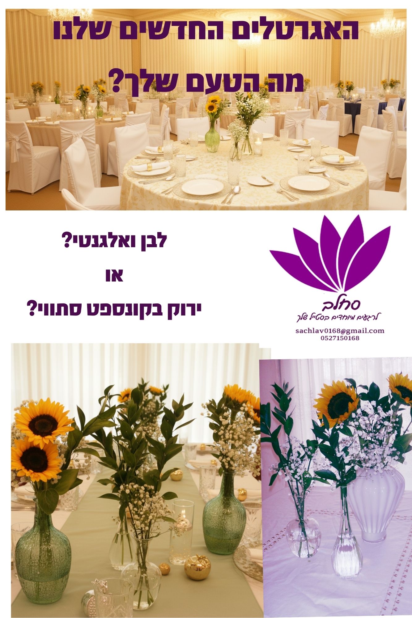 האגרטלים החדשים שלנו מה הטעם שלך.jpg