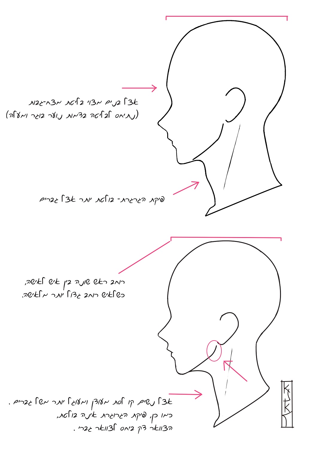 הבדל בין איש לאישה.jpg