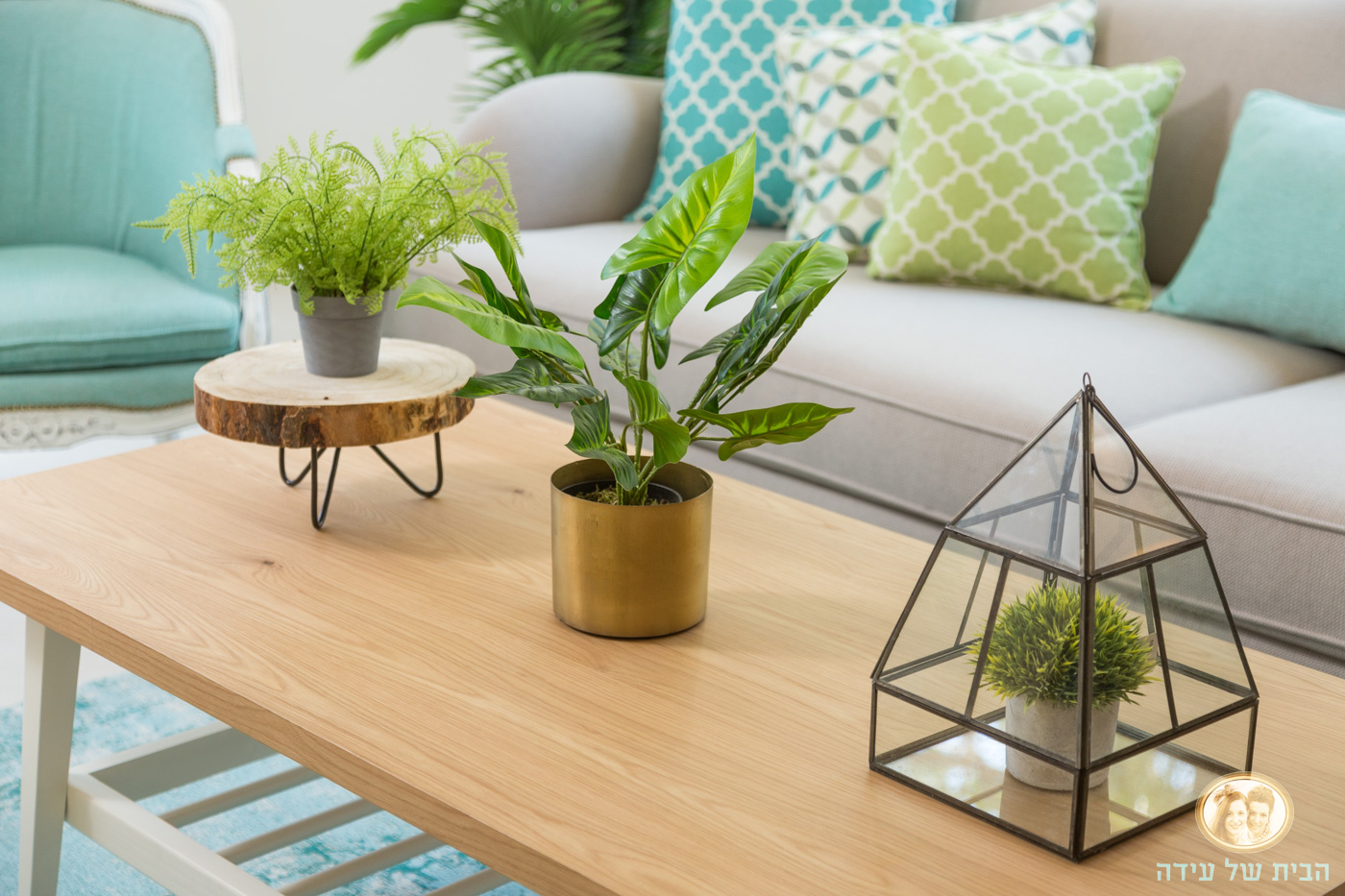 הבית של עידה 1.jpg