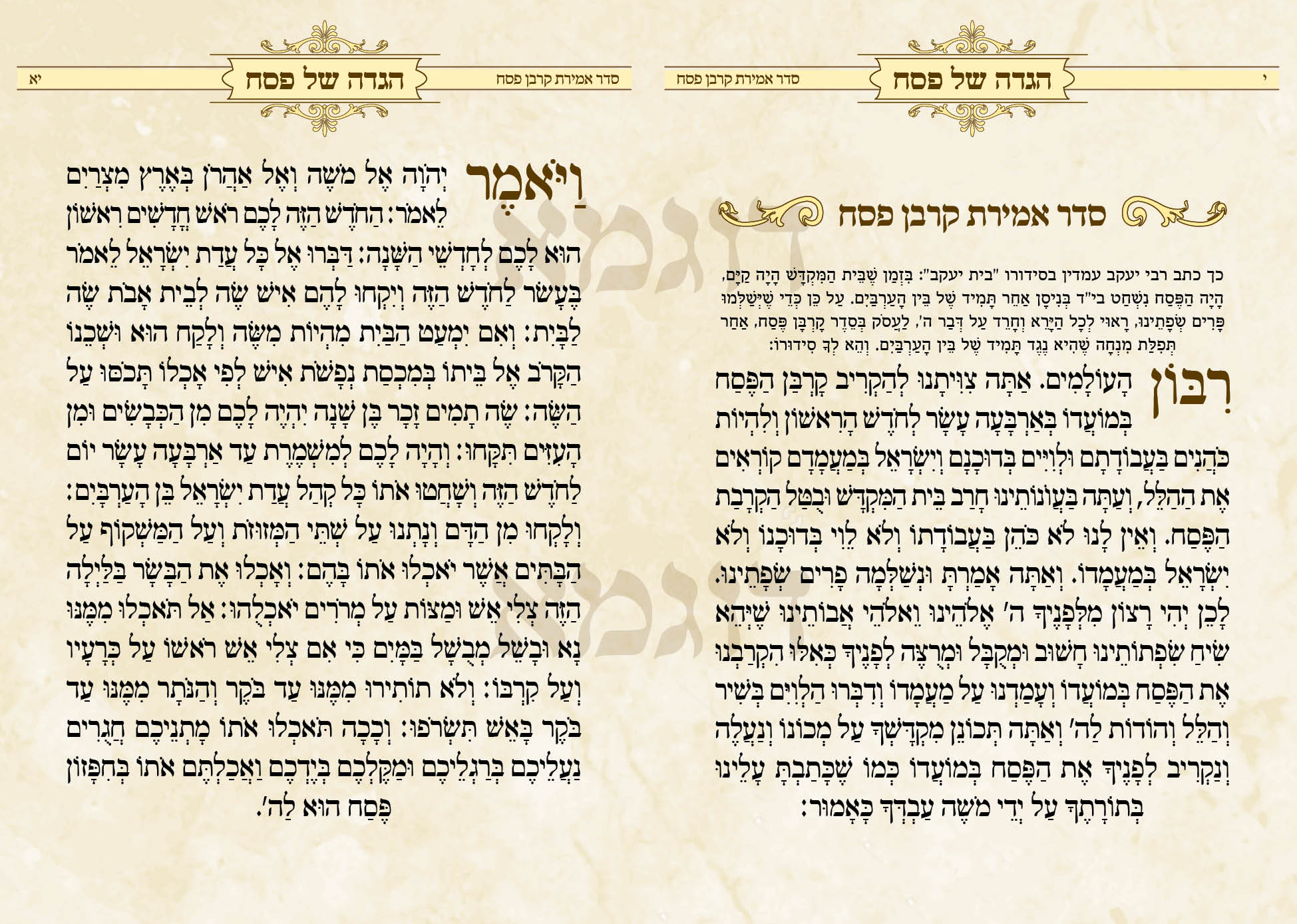 הגדה דוגמא5.jpg