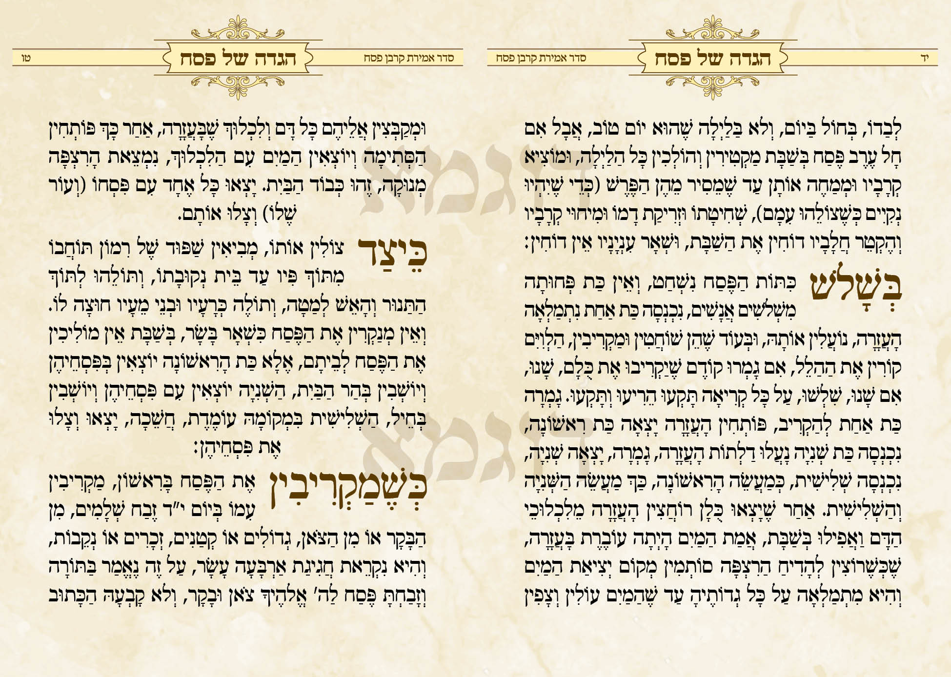 הגדה דוגמא7.jpg