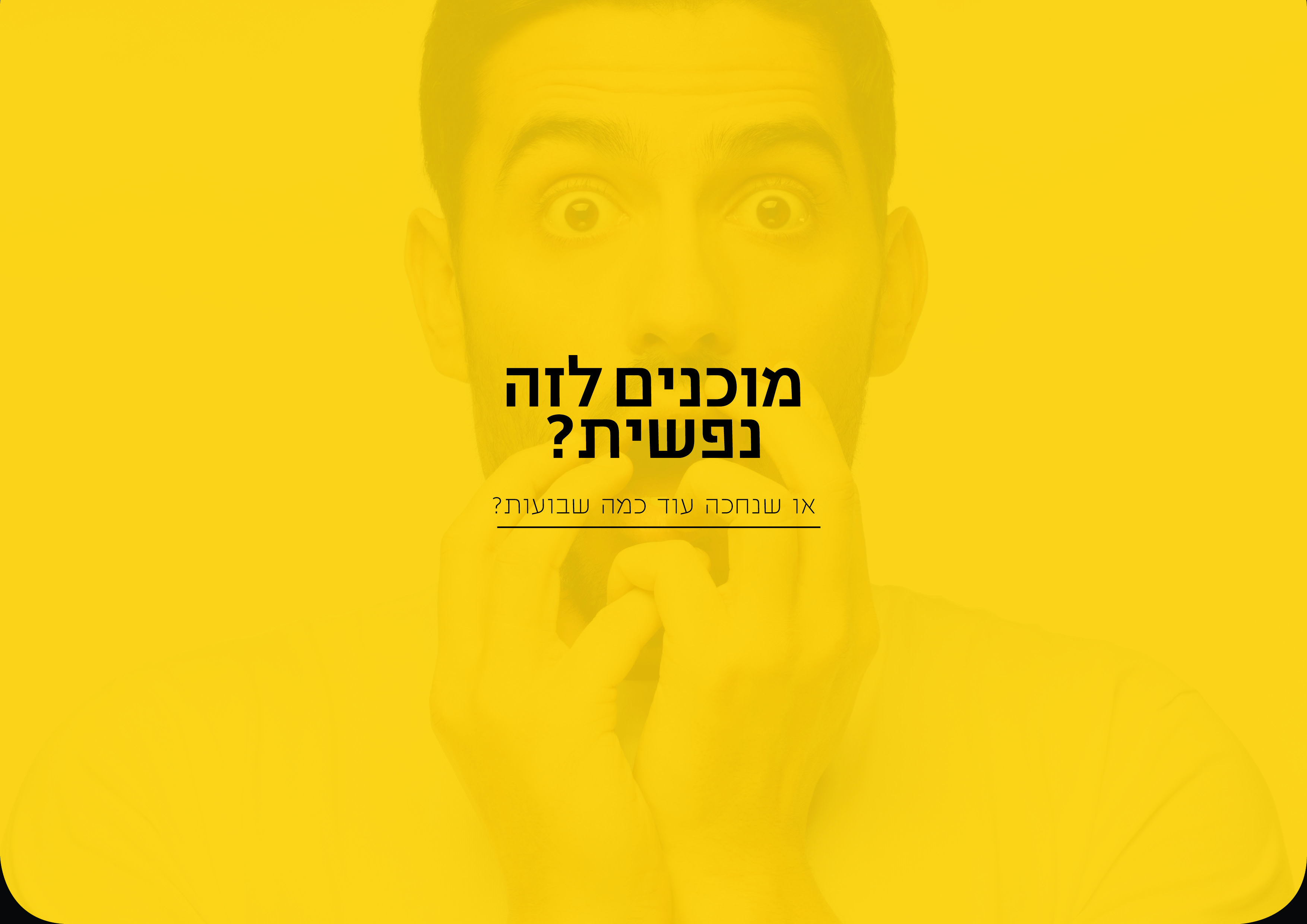 הגשת לוגו_מיקי'ס4.jpg