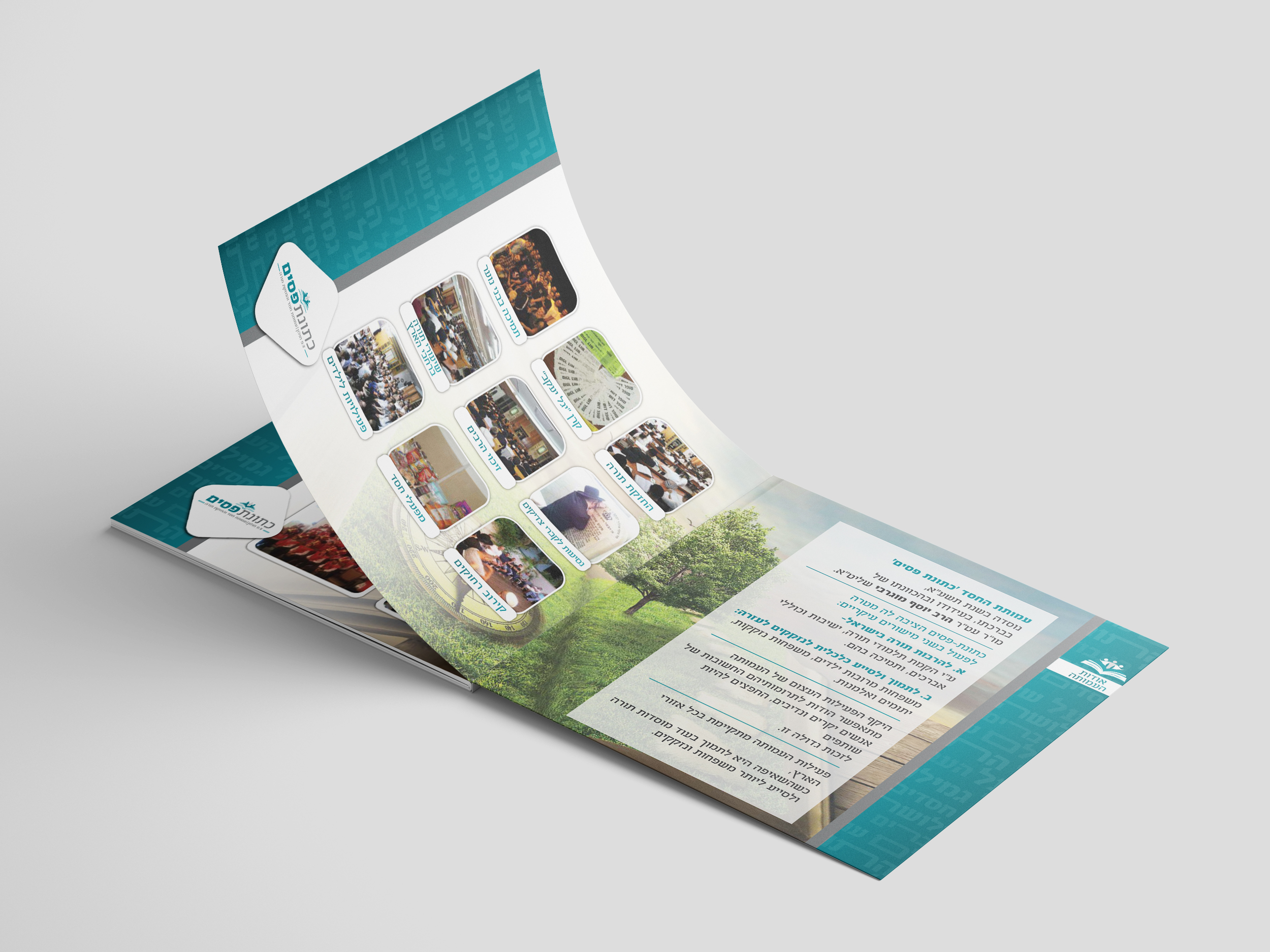 הדמיה אודות.jpg