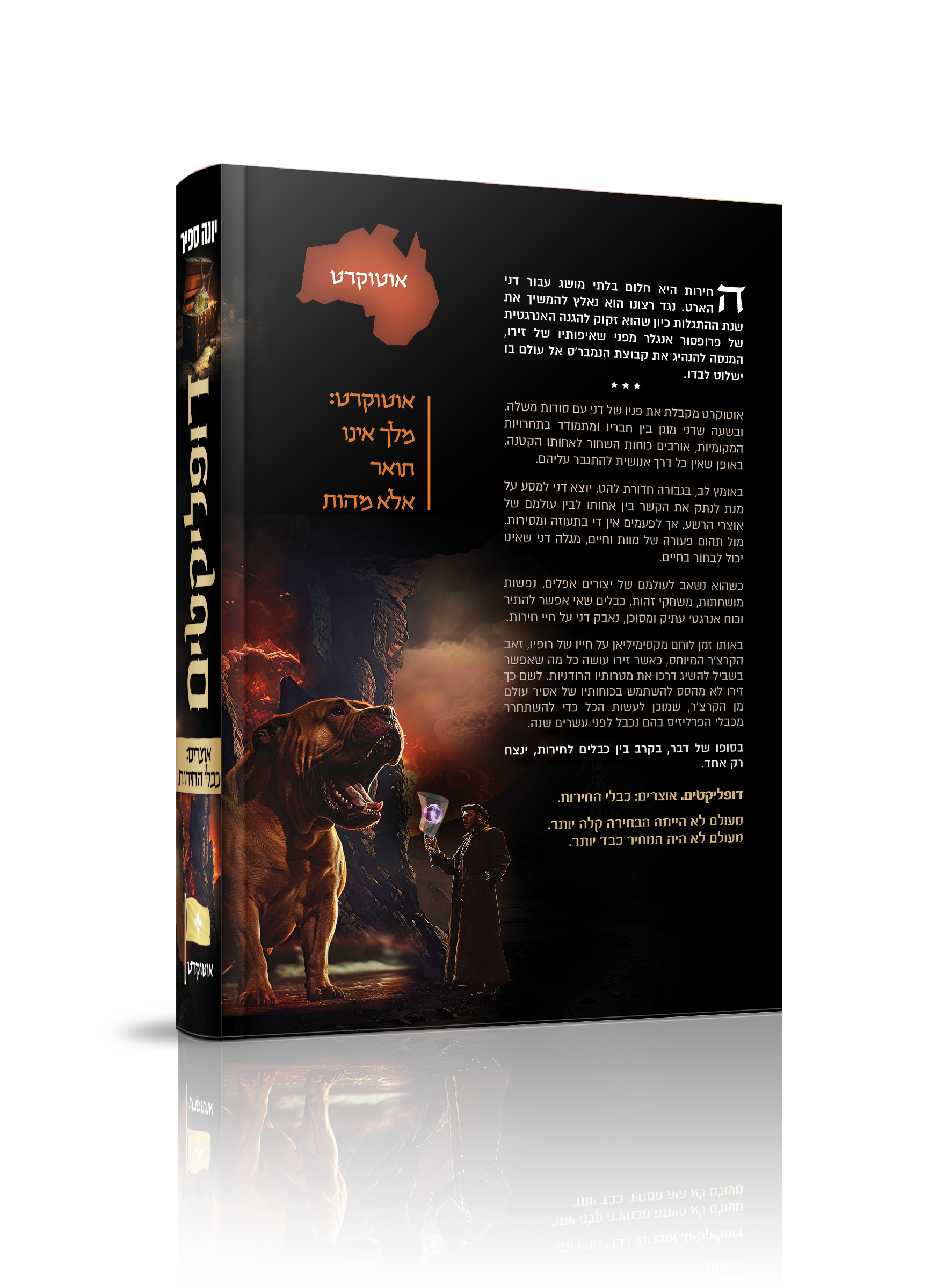 הדמיה אחורית.png