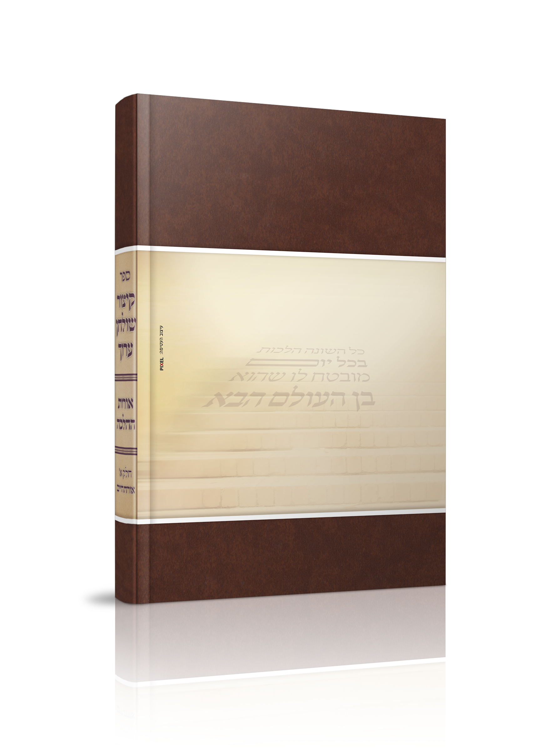 הדמיה אחורי.png