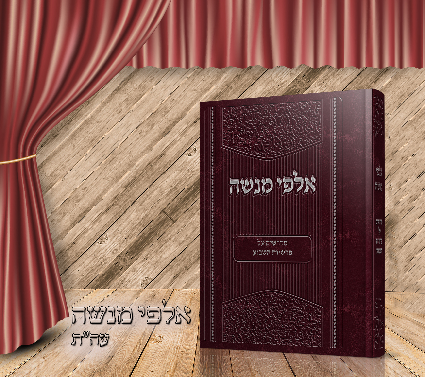 הדמיה אלפי מנשה1.jpg