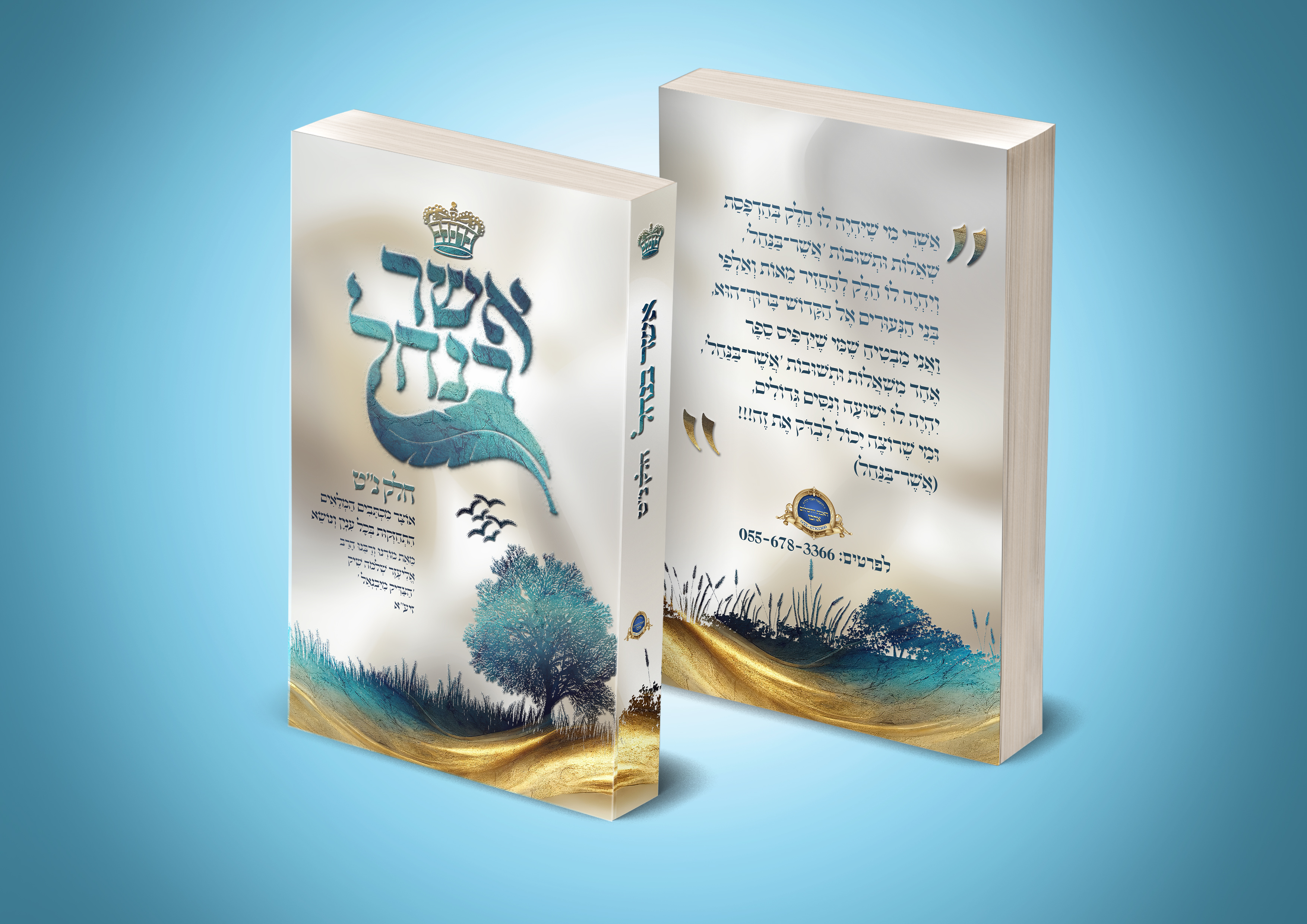 הדמיה אשר בנחל.jpg