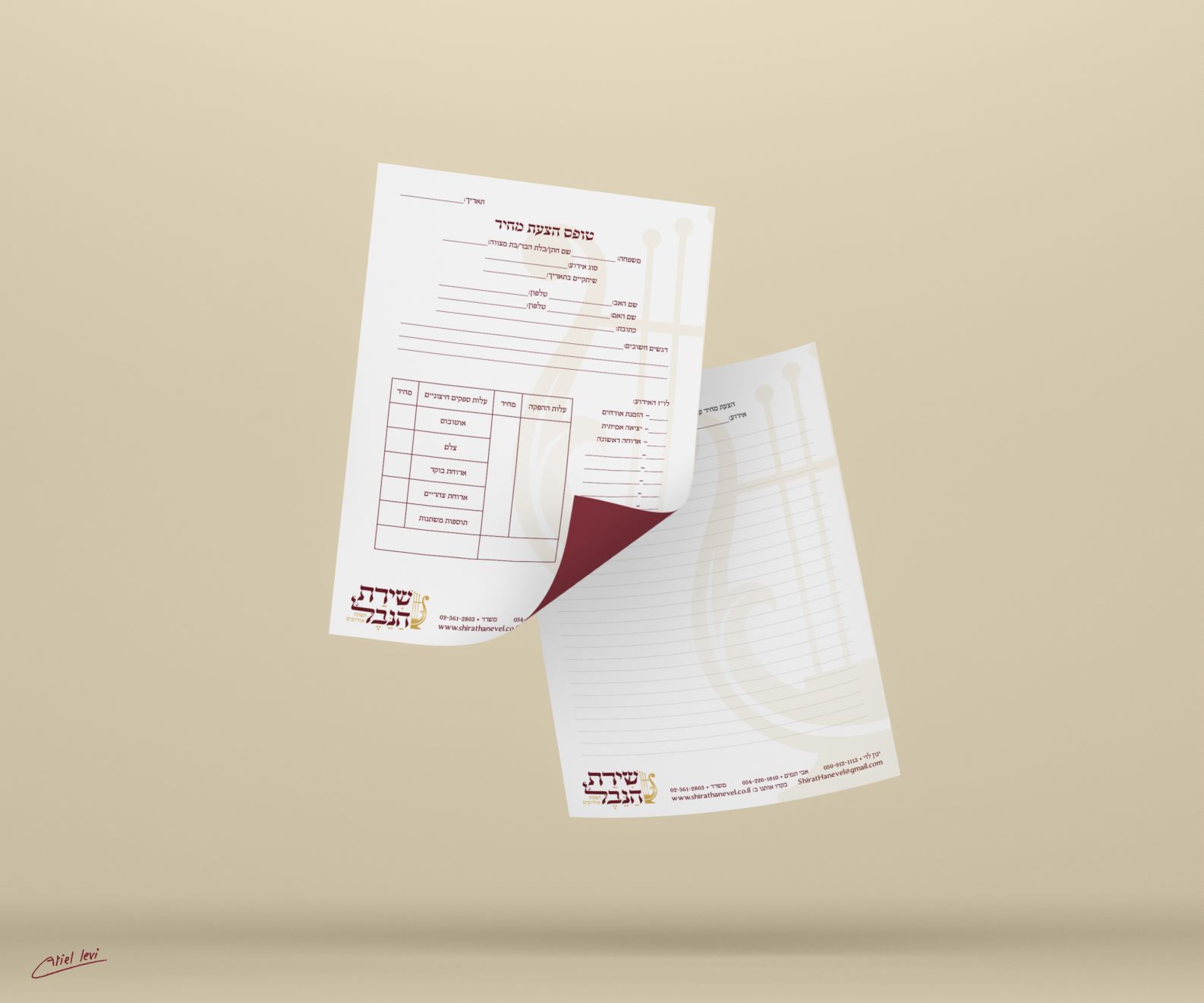 הדמיה בלאנק.jpg