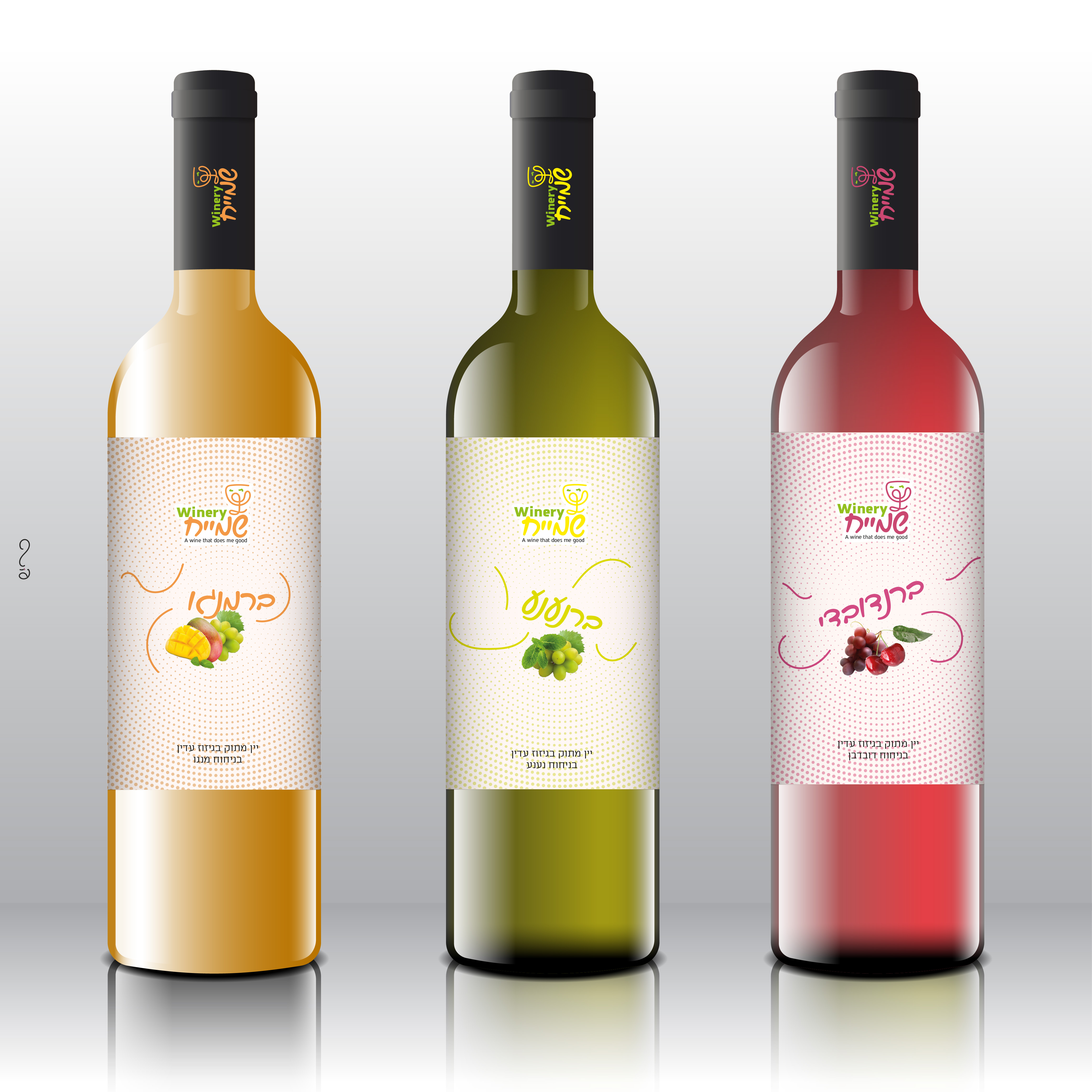 הדמיה בקבוקים 2-01.jpg