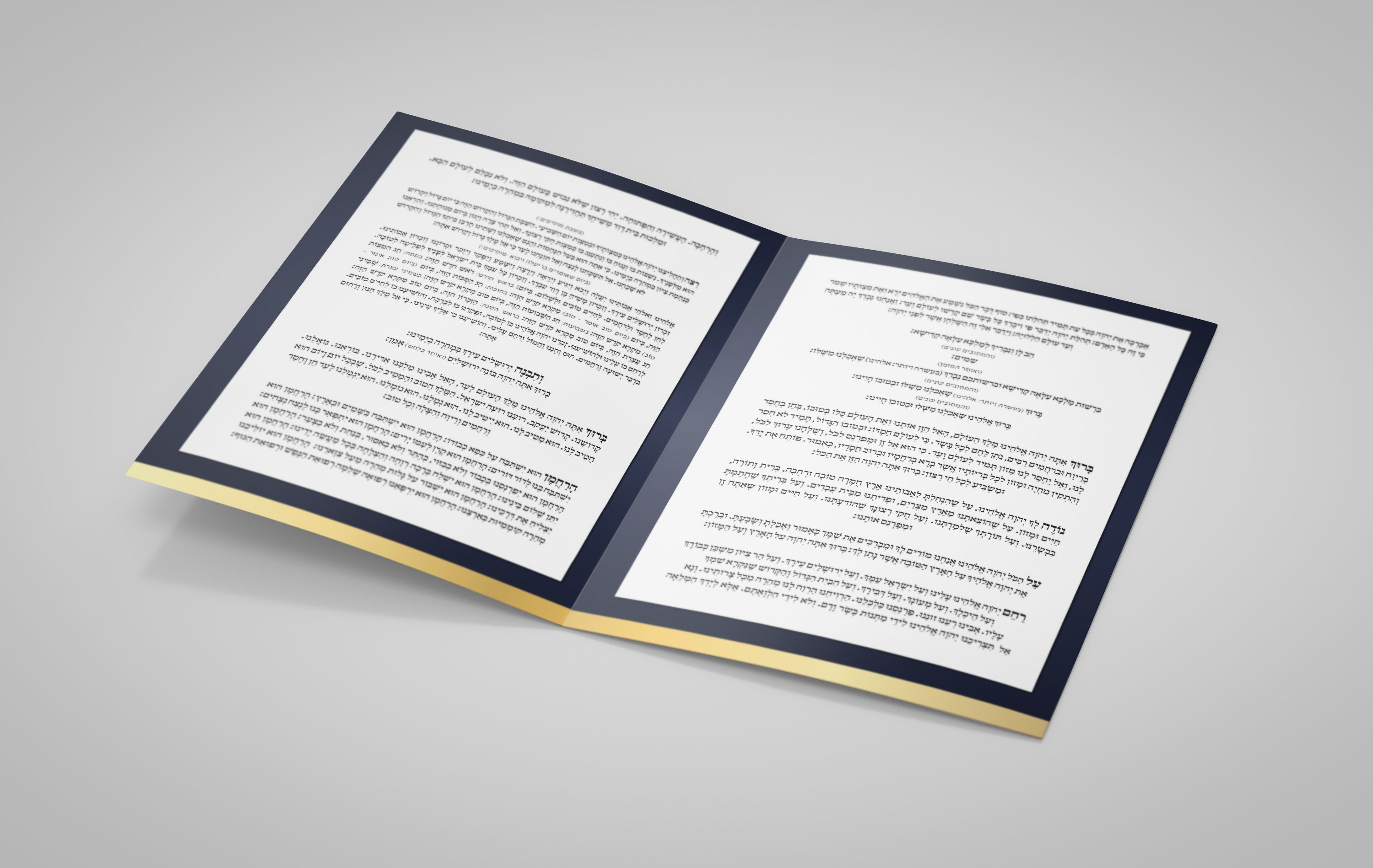 הדמיה ברכון פתוח.jpg