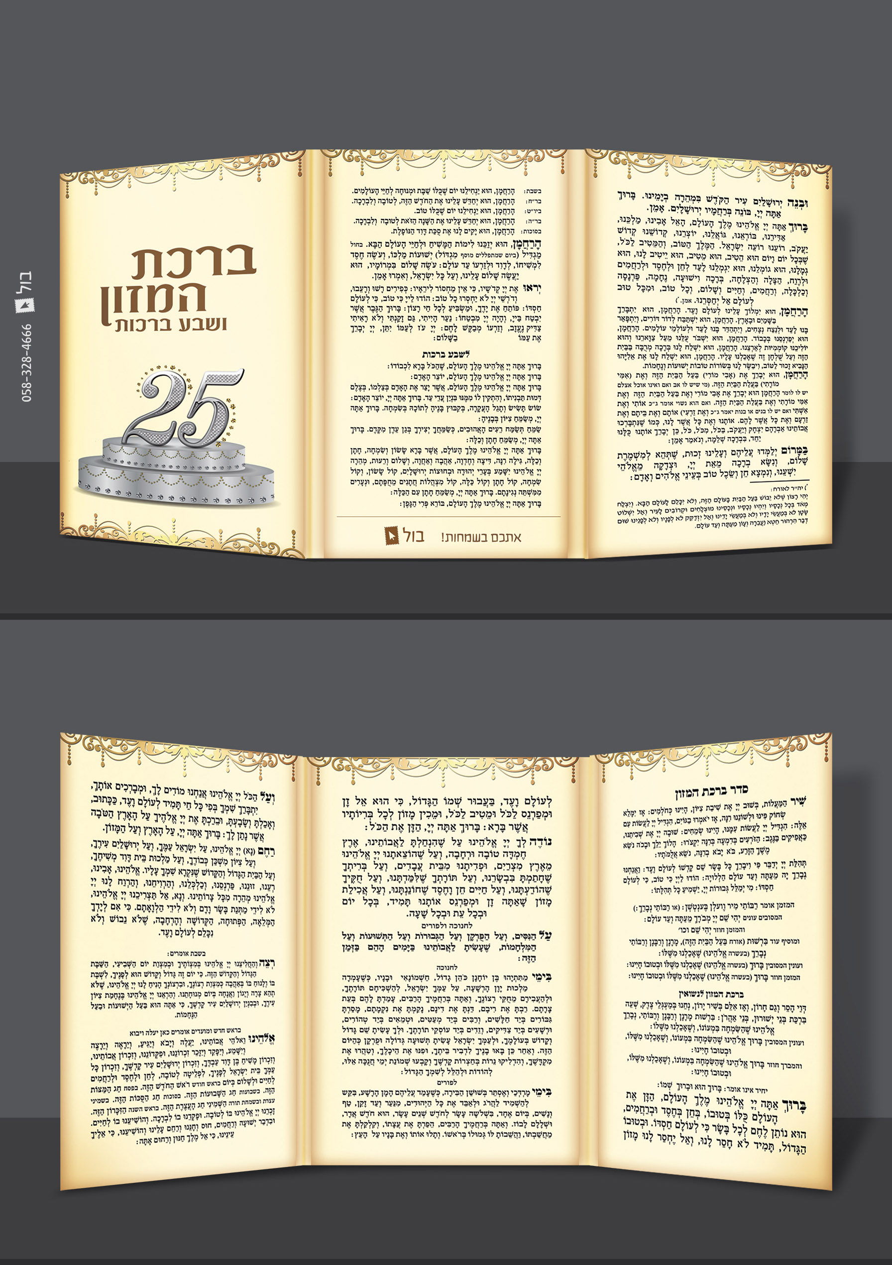 הדמיה ברכון.jpg