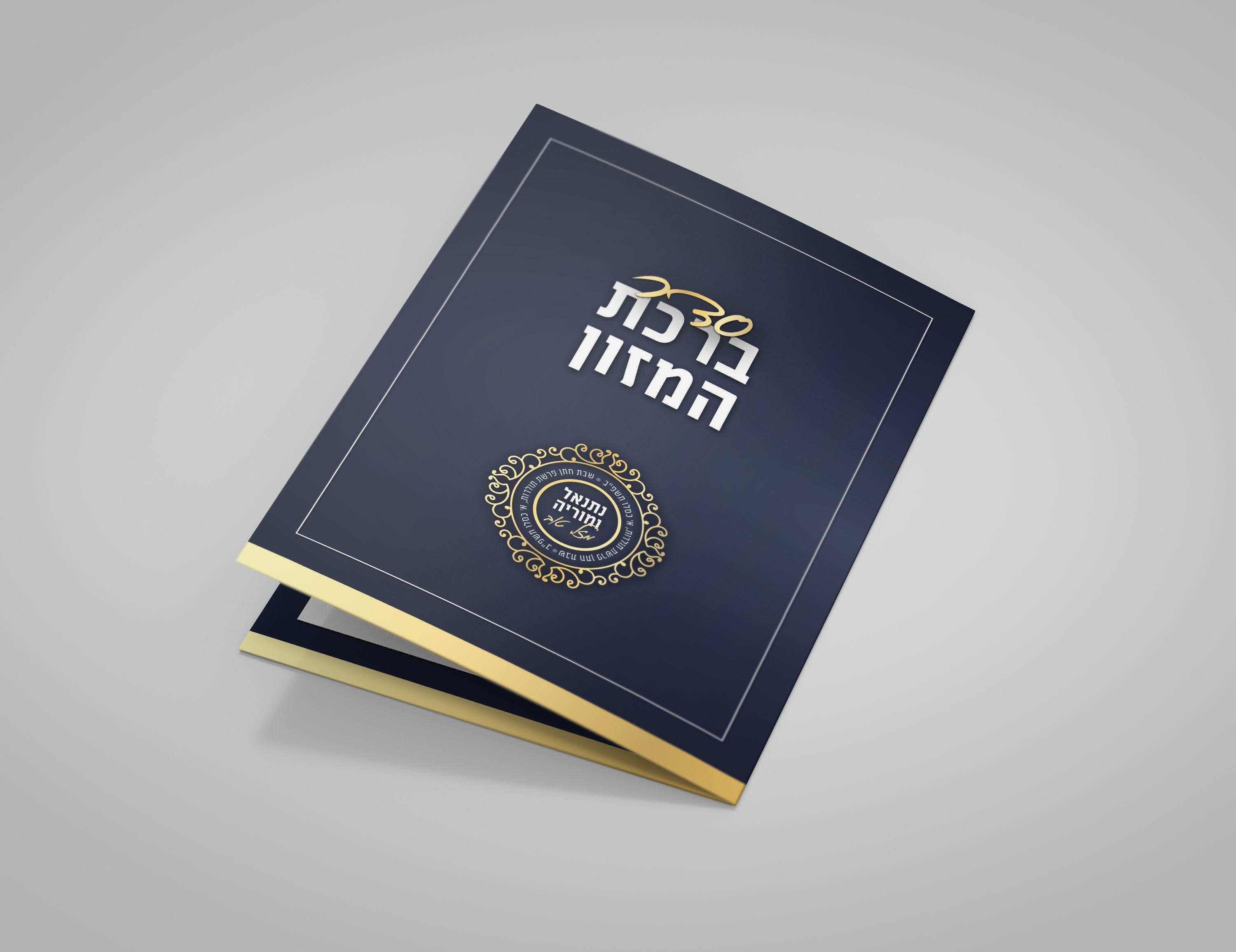 הדמיה ברכון.jpg