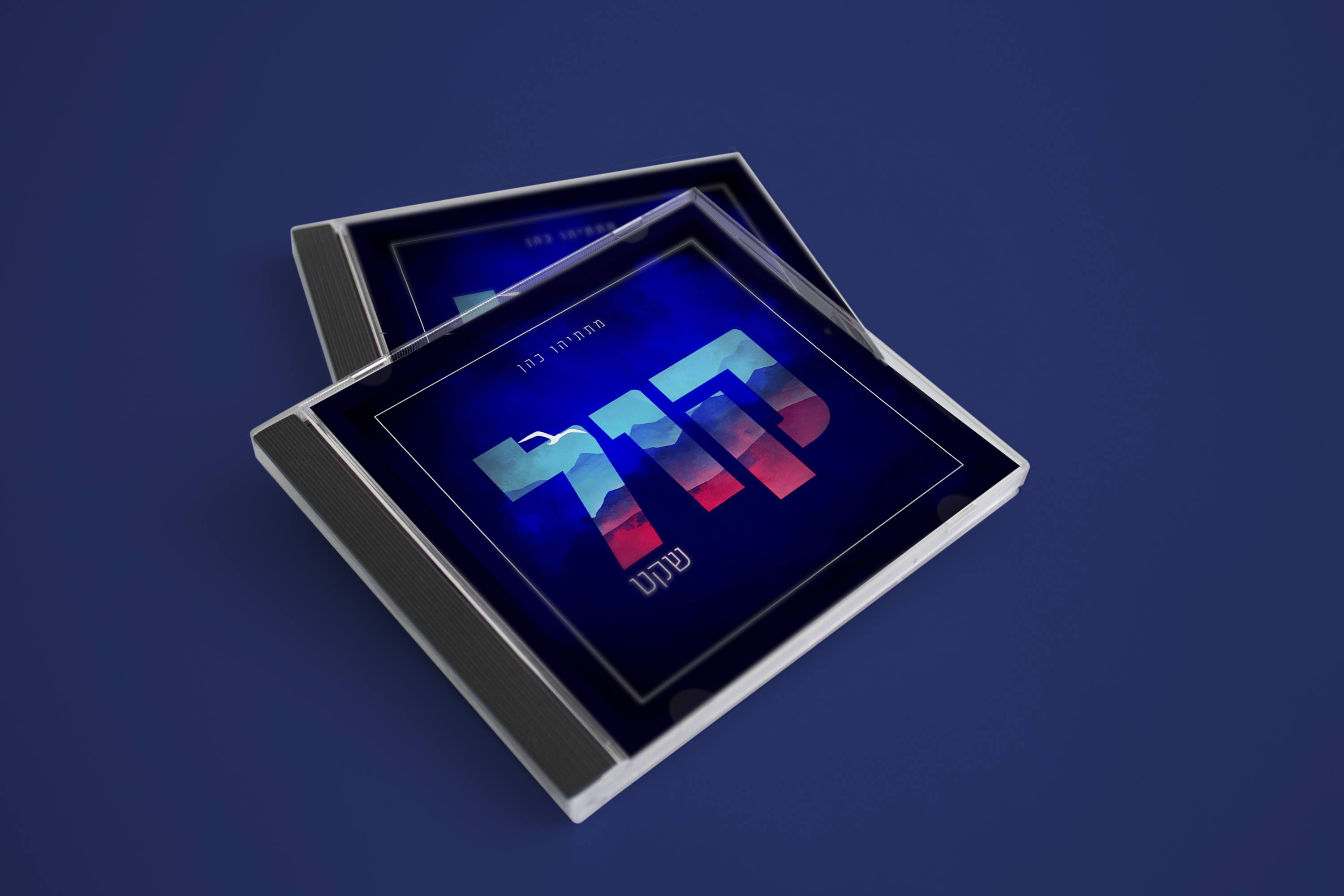 הדמיה דיסק פרוג קול שקט.jpg