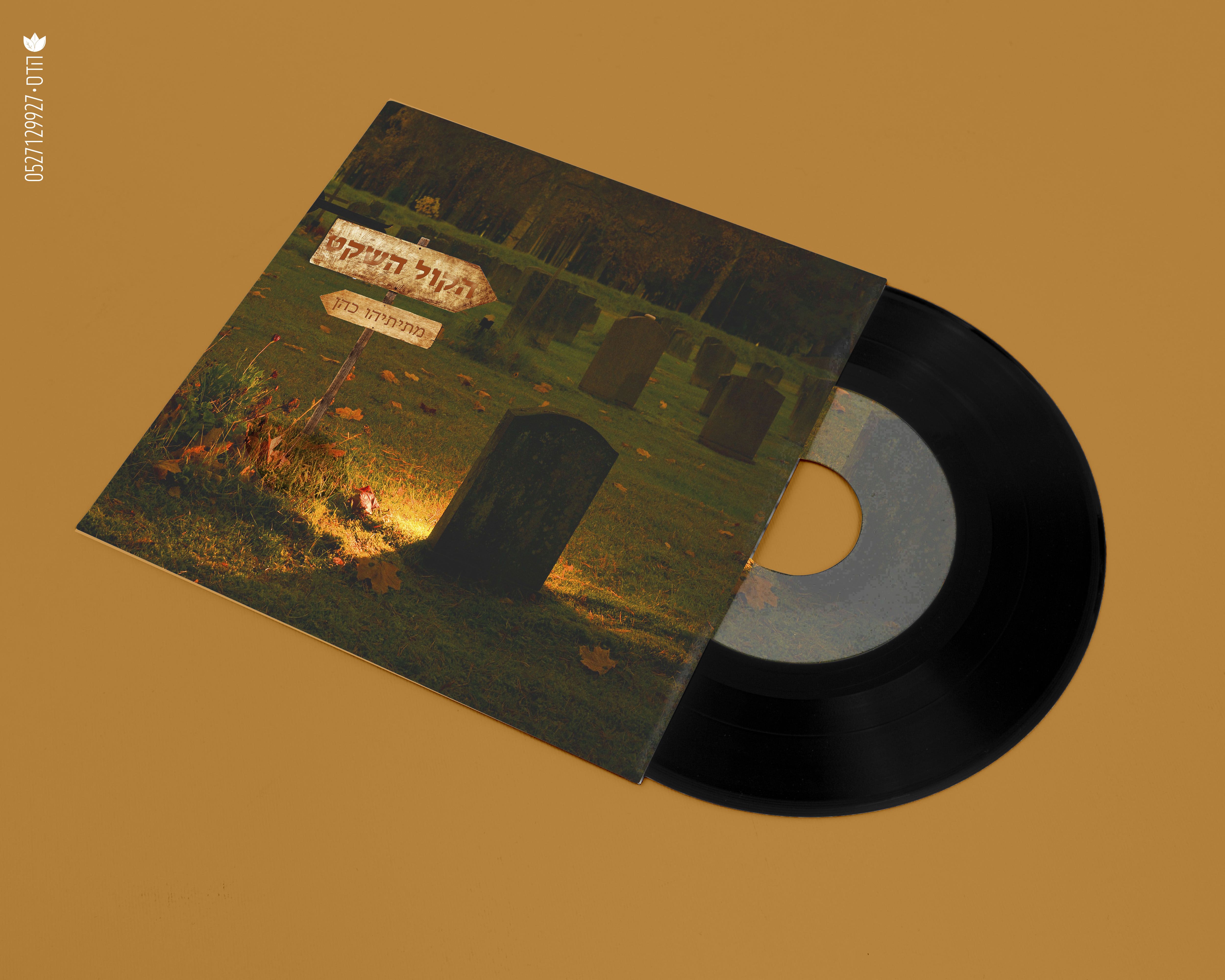 הדמיה הקול השקט 3.jpg