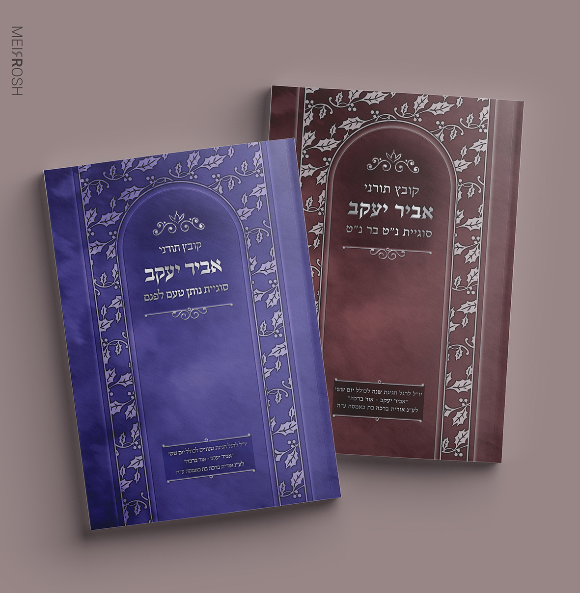 הדמיה חוברת אביר יעקבMeirRoshDesign.jpg