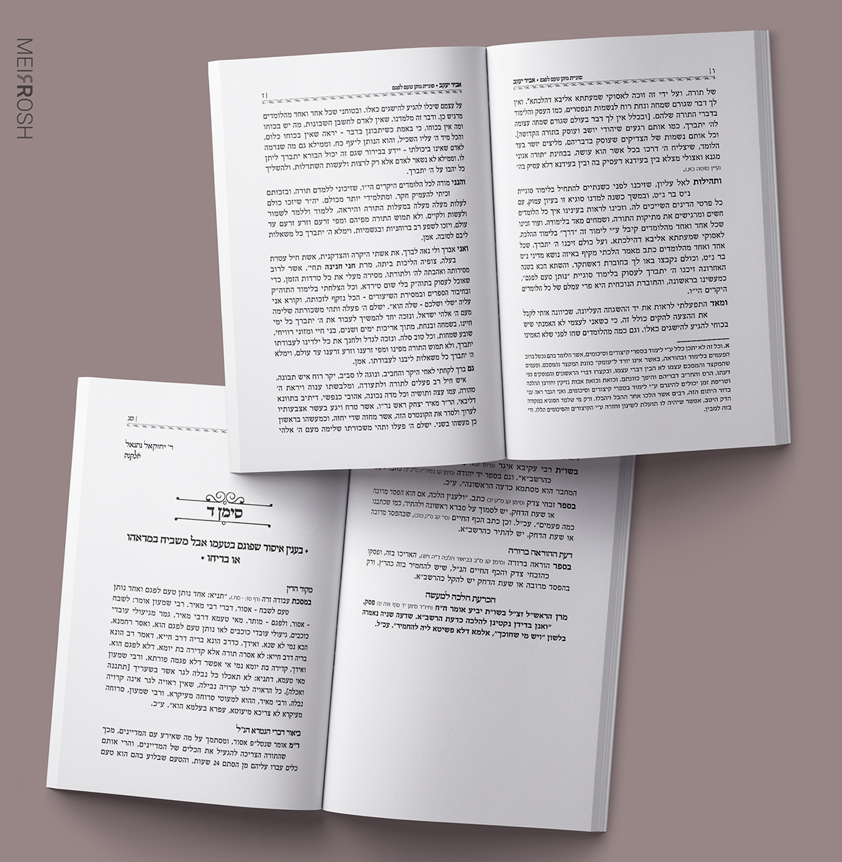 הדמיה חוברת אביר יעקבMeirRoshDesignB.jpg