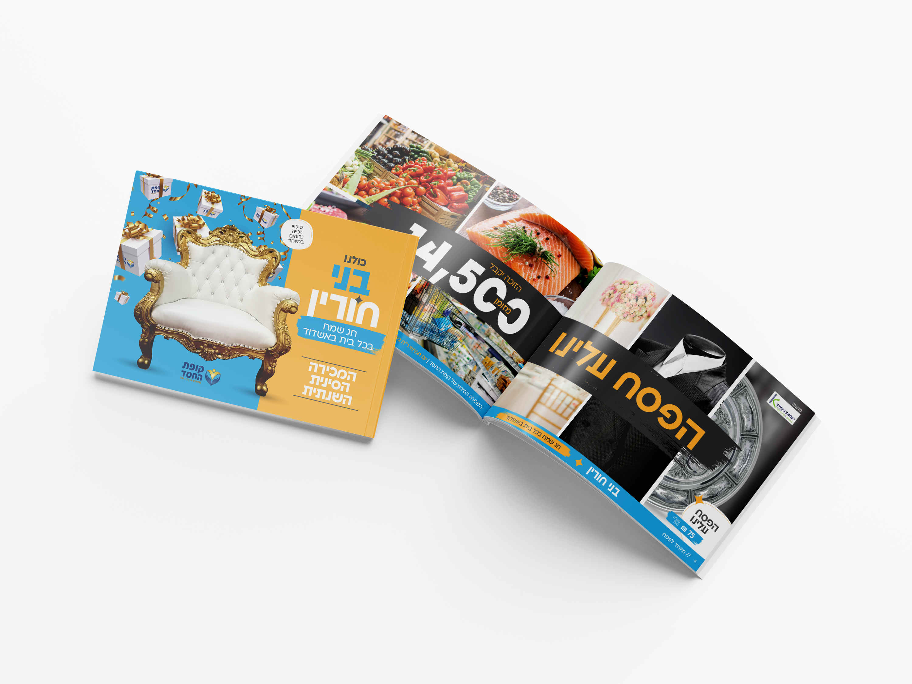 הדמיה חוברת קמחא דפסחא 2.jpg