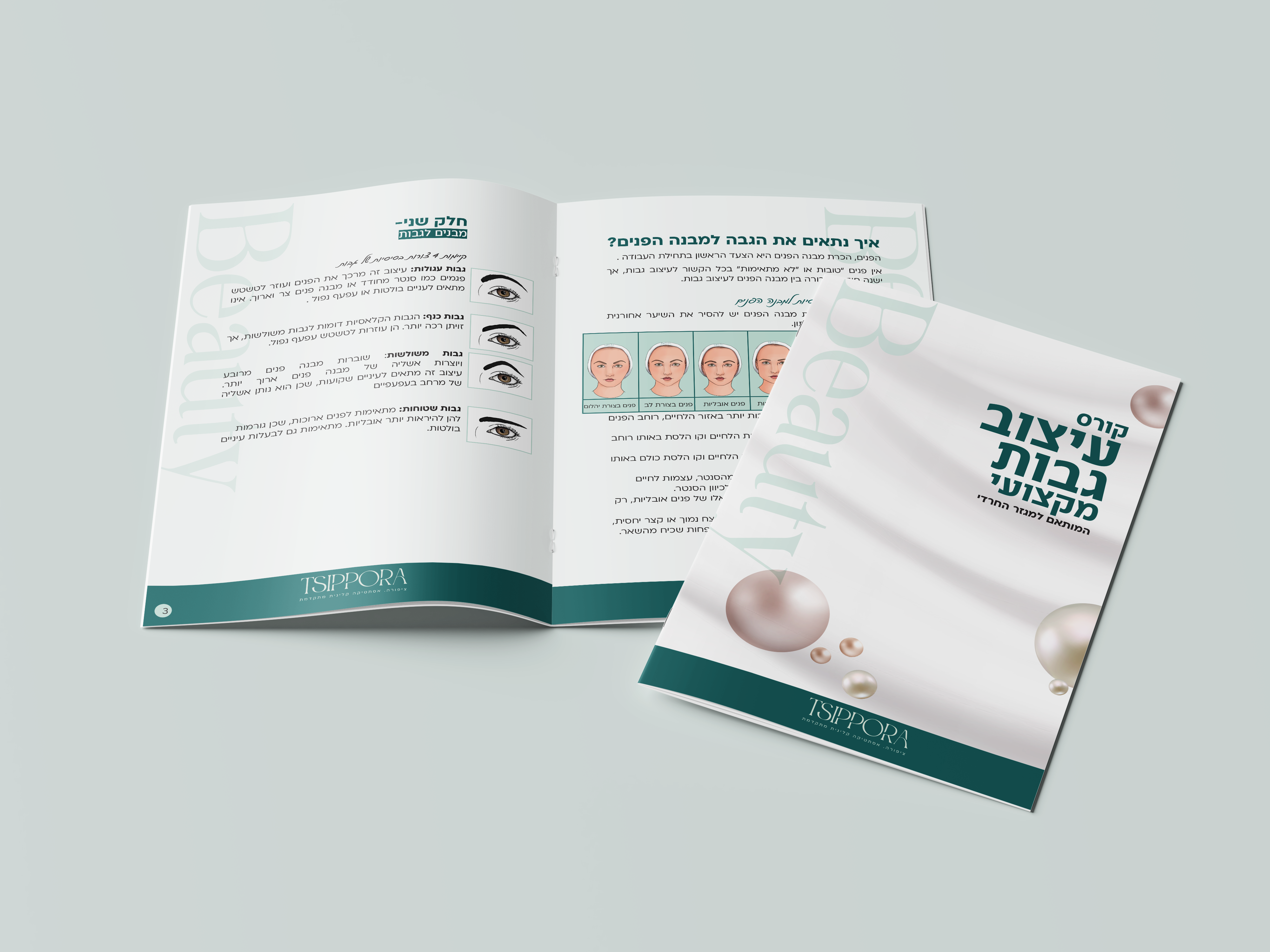הדמיה חוברת.png