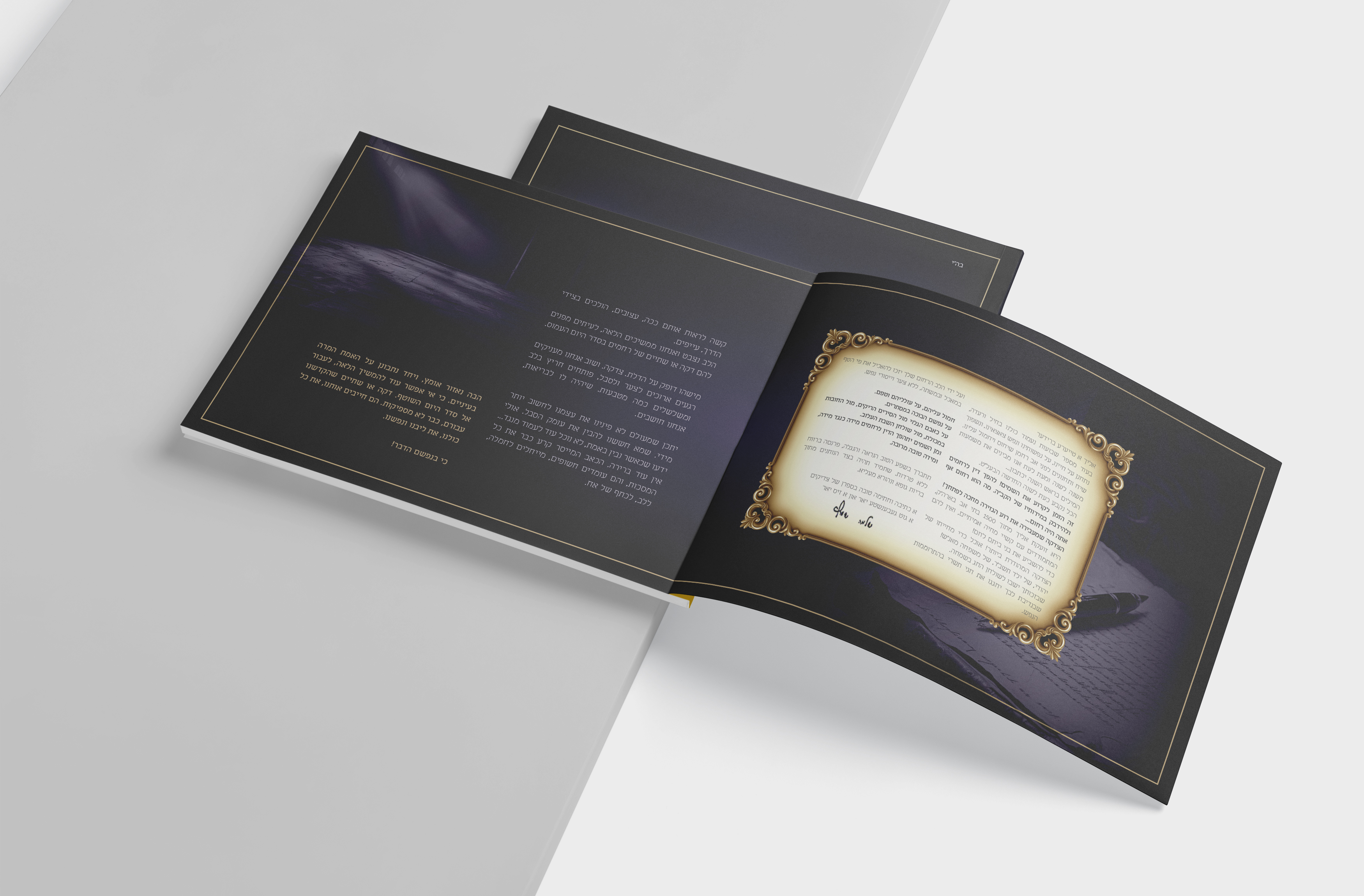 הדמיה חמול כריכה ועמוד 2 3.jpg