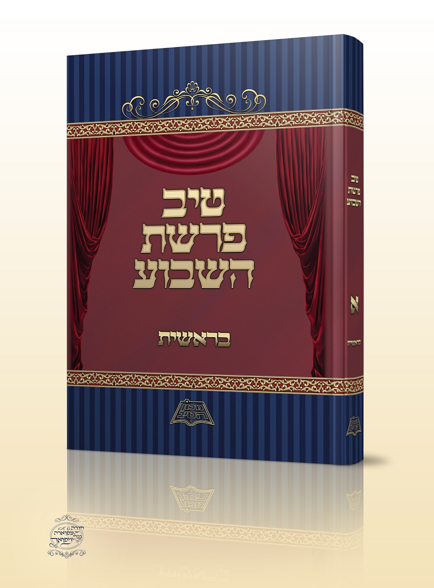 הדמיה טיב 3.jpg