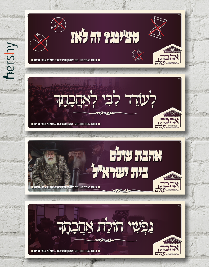 הדמיה טיזרים.PNG