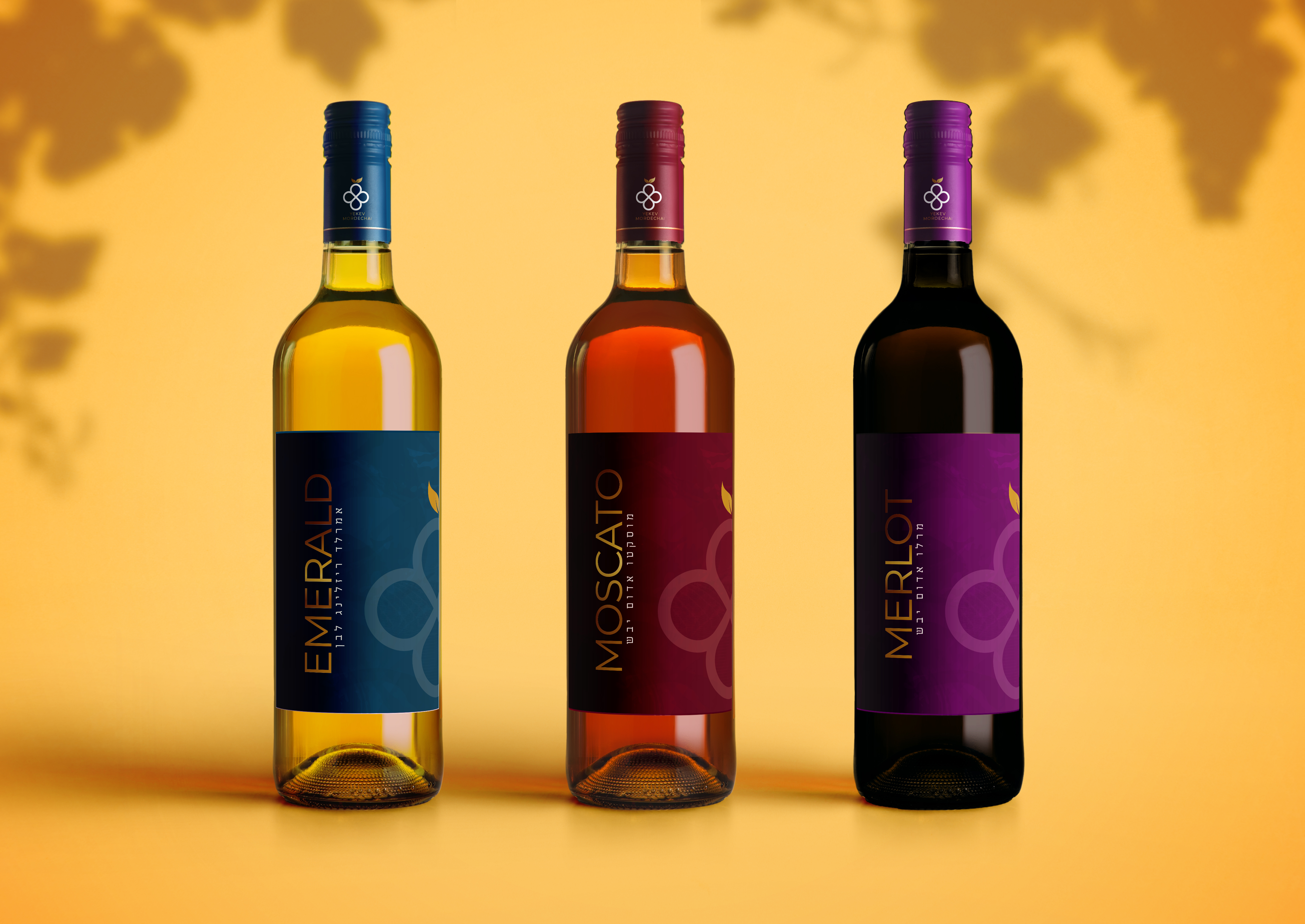 הדמיה יין אתגר פרוג copy.jpg