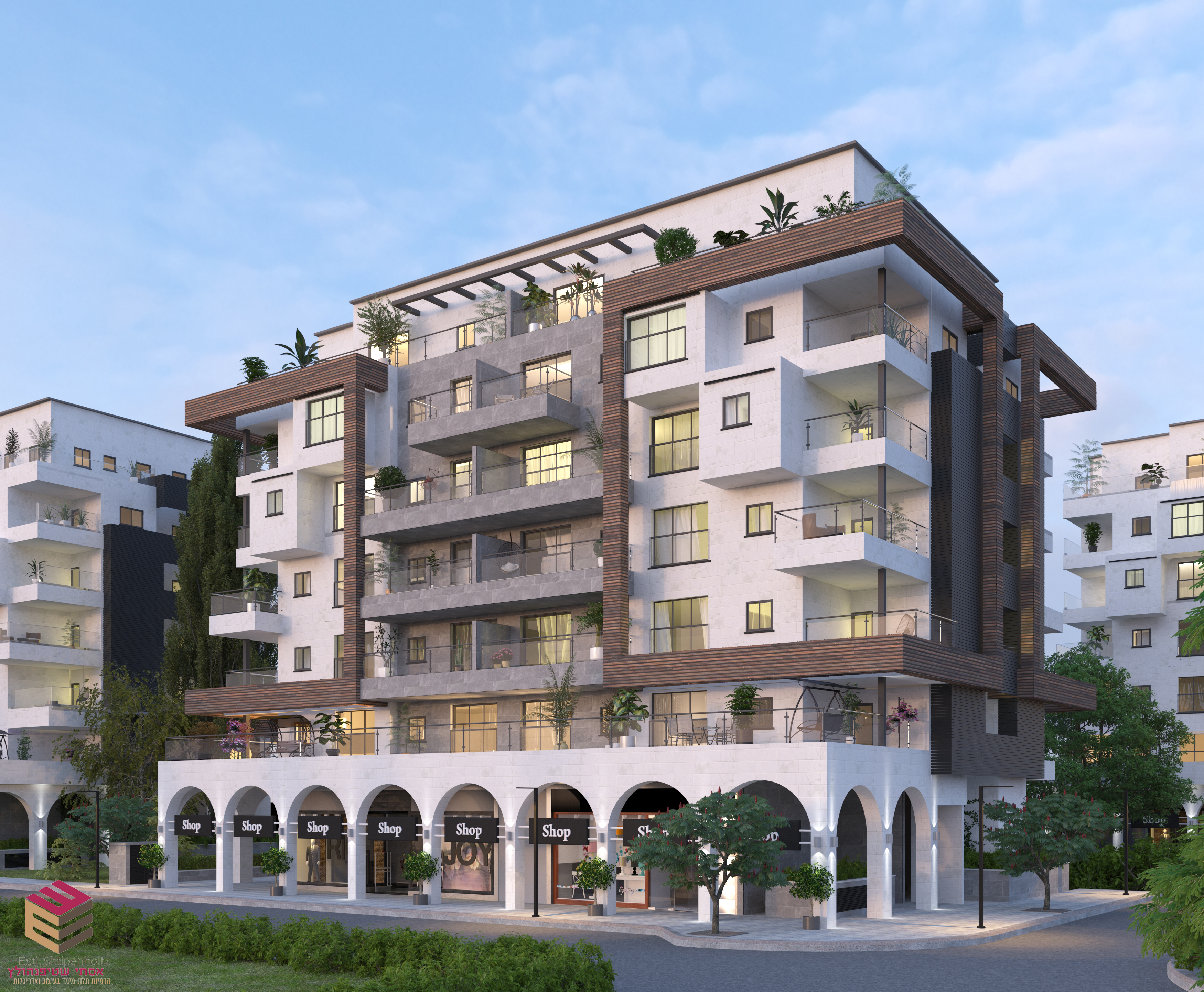 הדמיה כהנמן 163ֹ.jpg