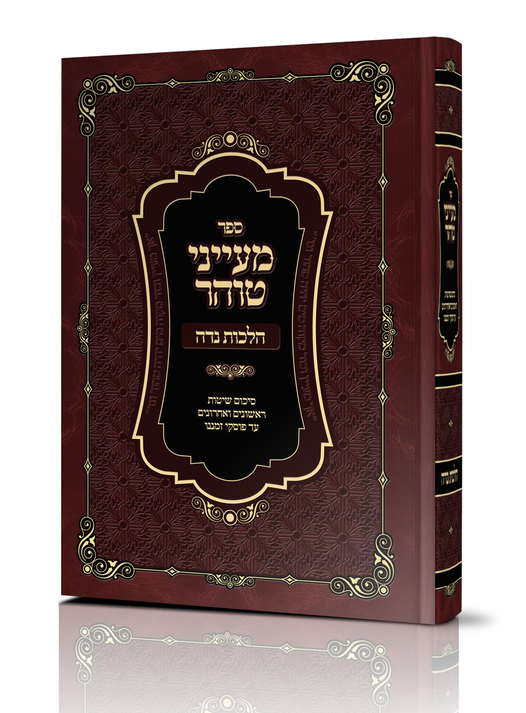 הדמיה כריכה עם שידרה.jpg