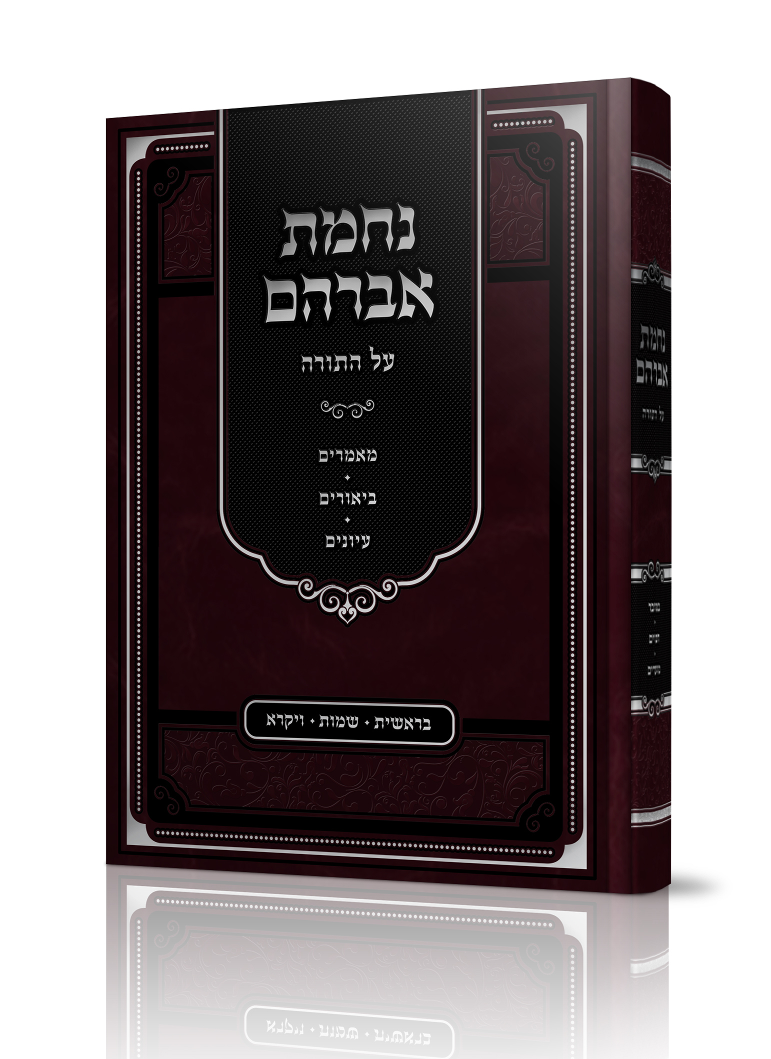 הדמיה כריכה 2.jpg