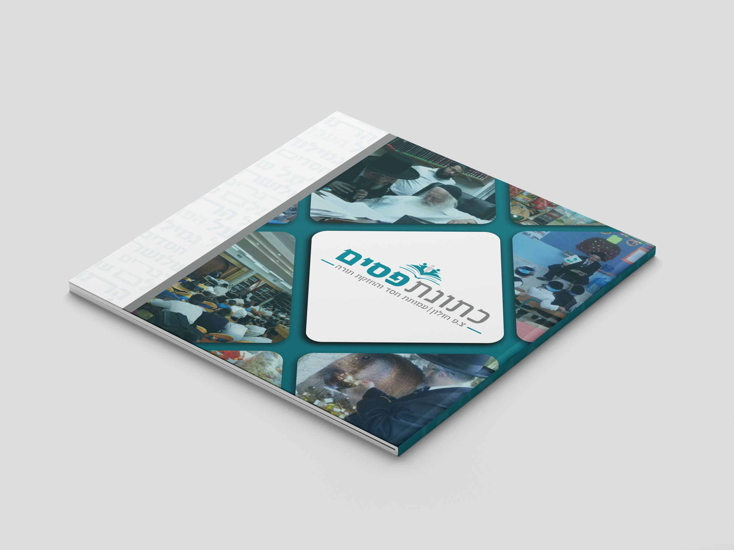 הדמיה כריכה.jpg