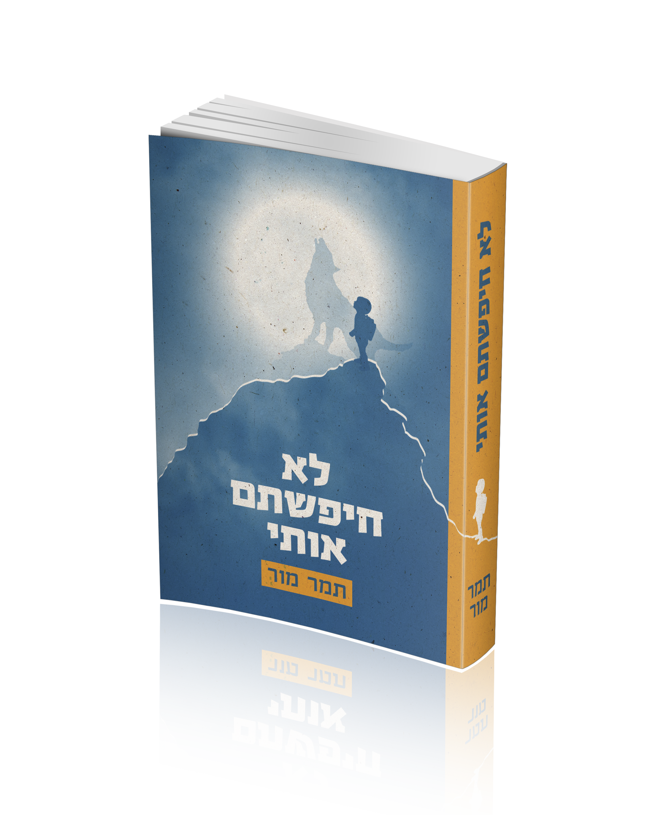 הדמיה לא חיפשתם אותי.png