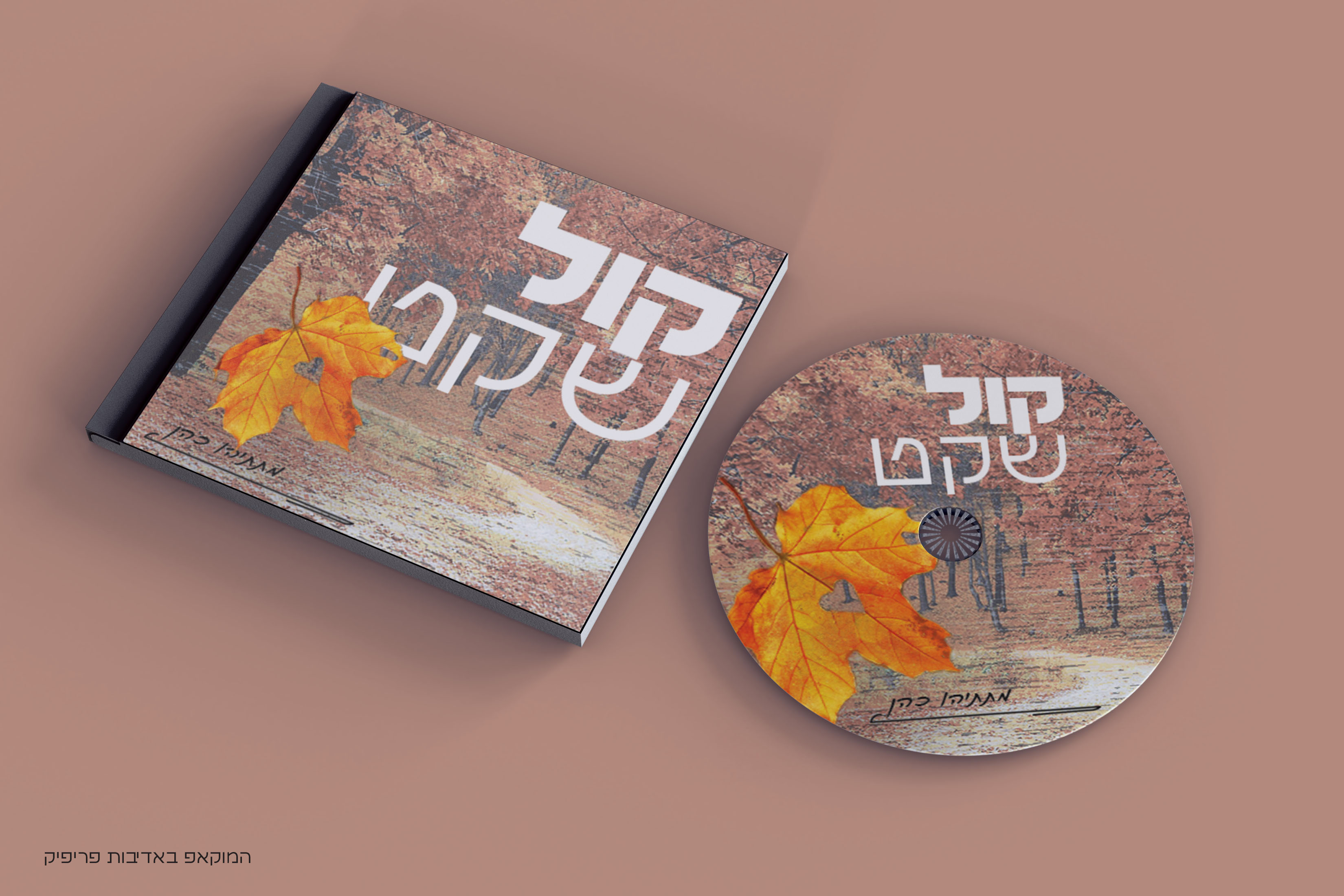 הדמיה לדיסק ועטיפה.jpg